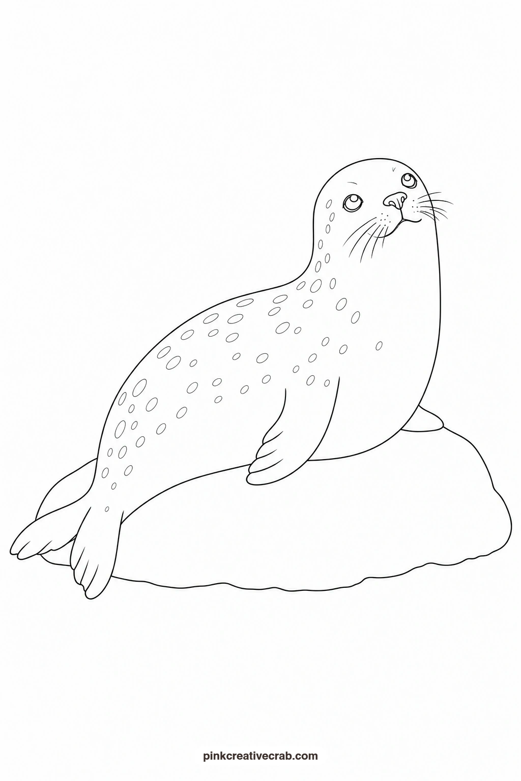 Seal Outline printable page. Watercolor animals