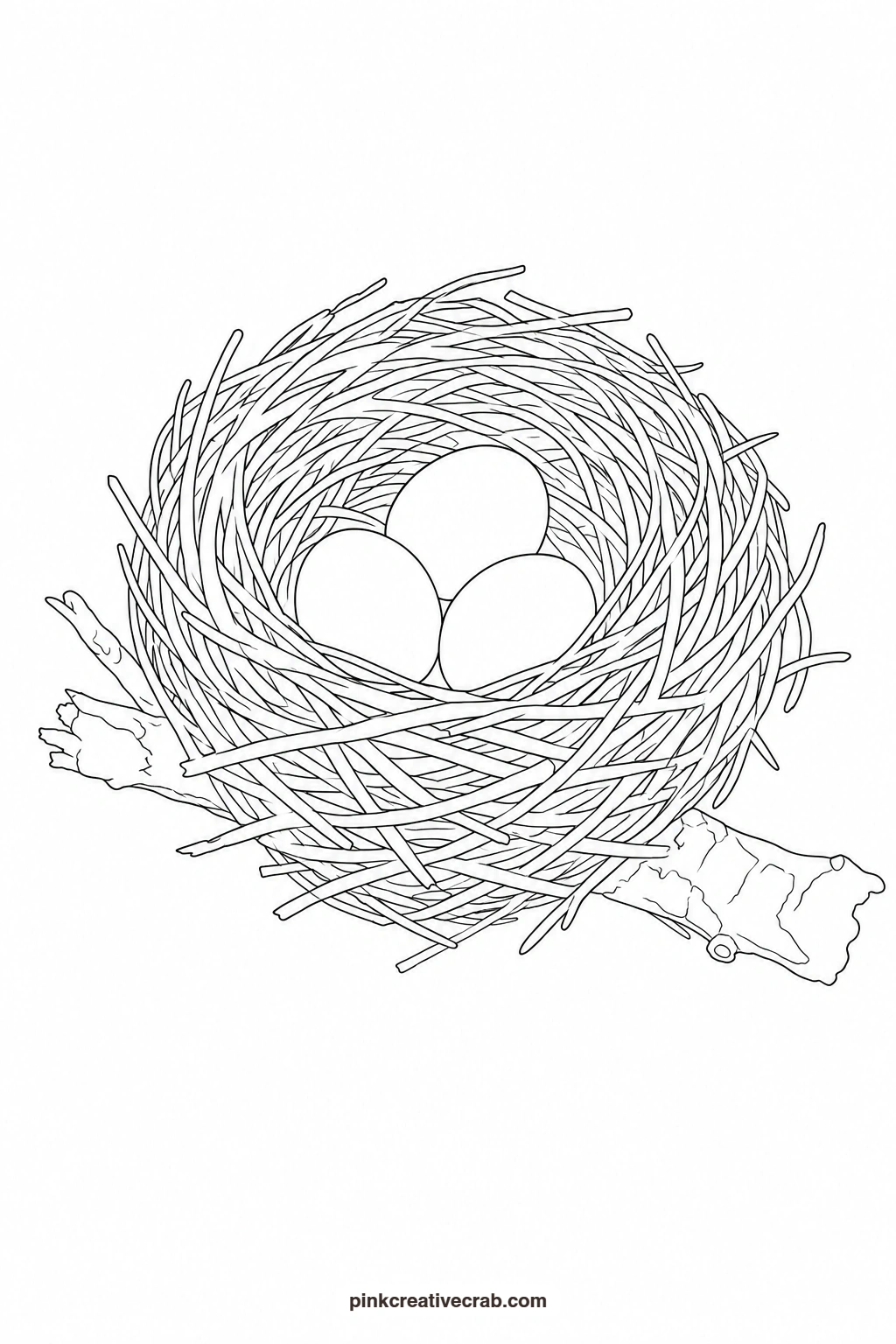 Bird Nest With Eggs Outline printable page. Nature watercolor