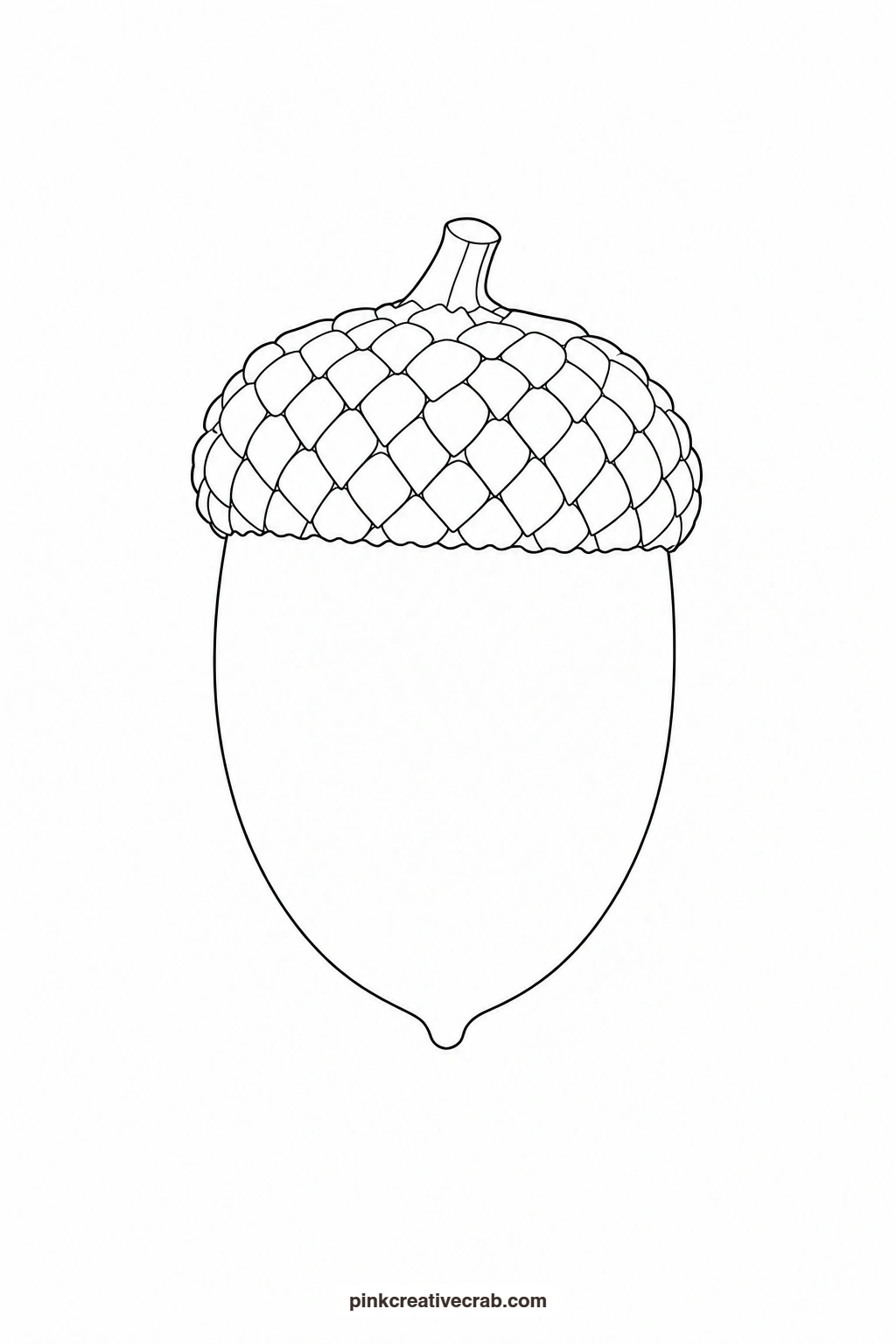 Acorn Outline printable page. Nature watercolor