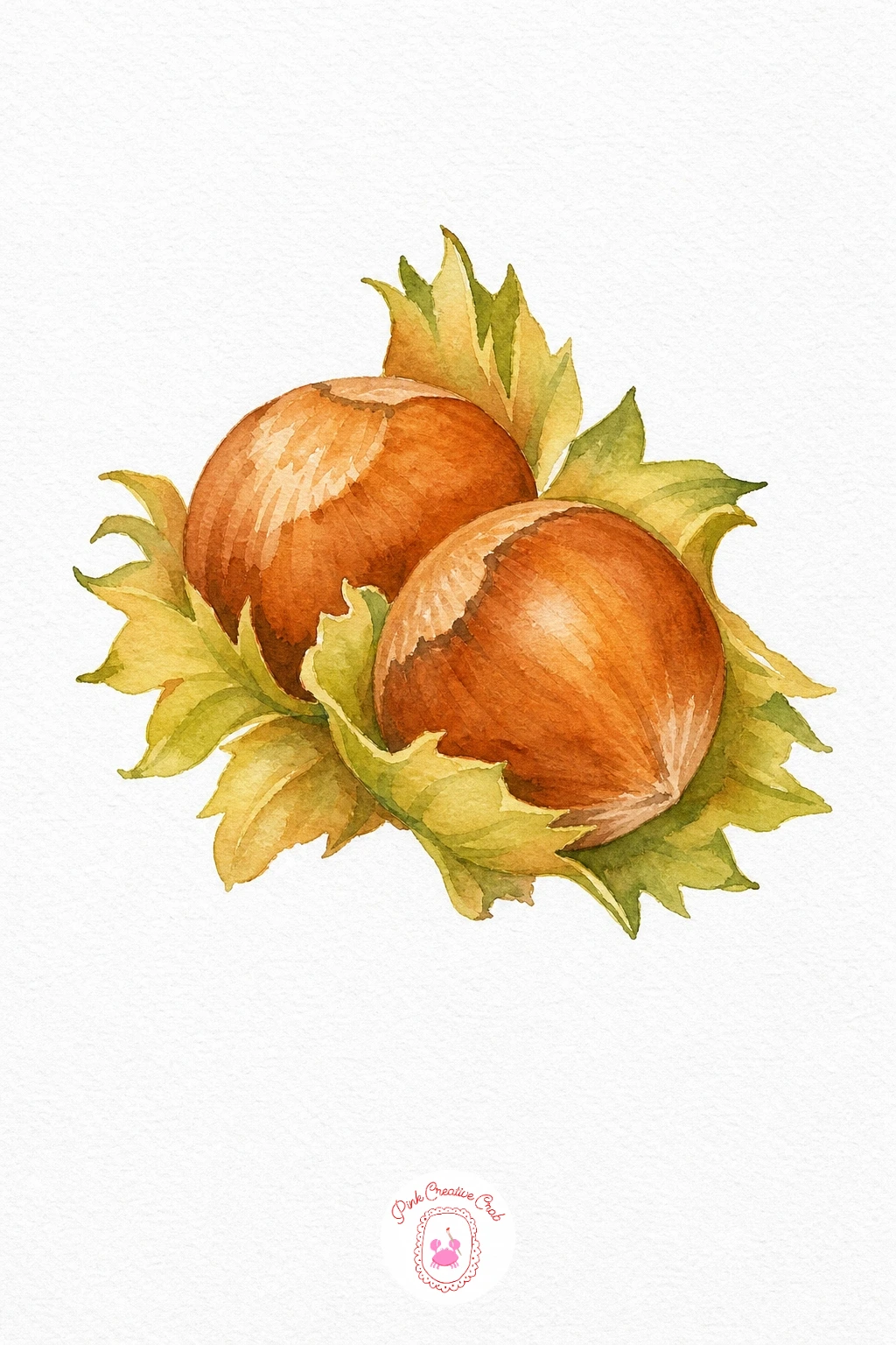 Hazelnut Pair — Paint both nut shapes in a light honey brown wash, keeping the second nut a shade paler so it reads as sitting slightly behind the first.