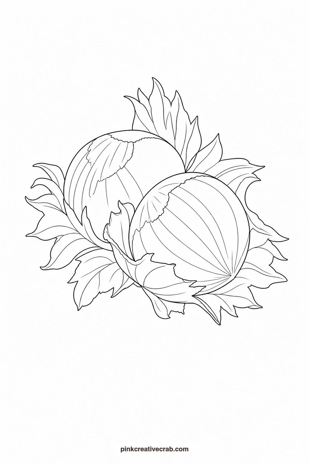 Hazelnut Pair Outline printable page. Nature watercolor