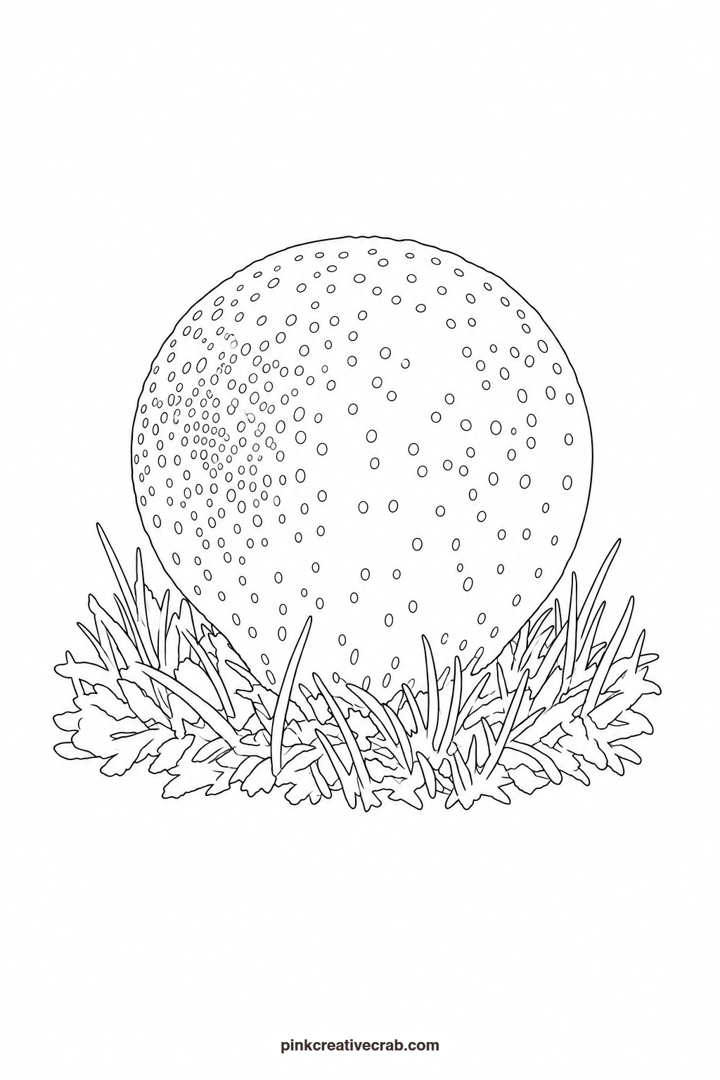 Puffball Mushroom Outline printable page. Nature watercolor