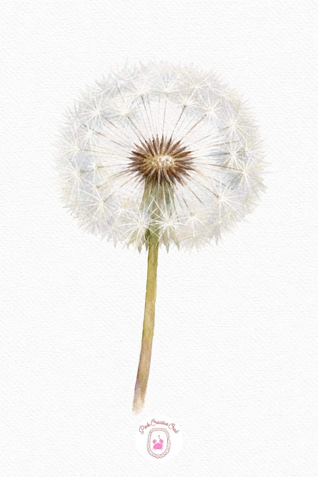 Dandelion Clock — Leave most of this one as bare white paper, since the dandelion clock is mostly light; only wash a very pale grey around the edge of the