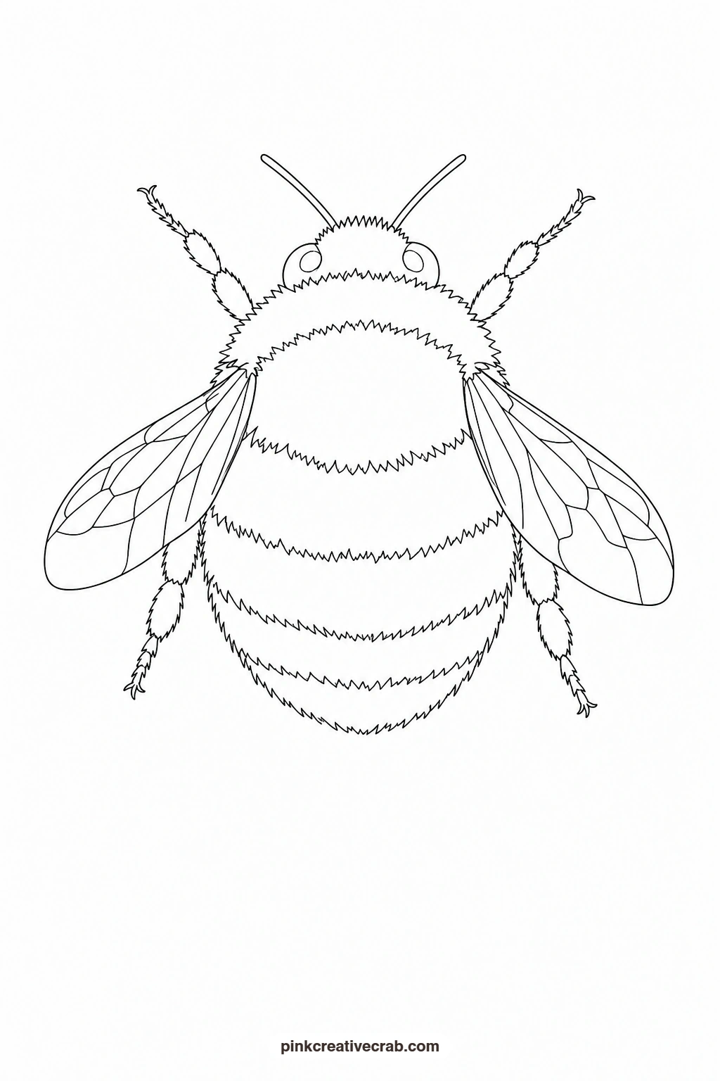 Bumblebee Outline printable page. Nature watercolor