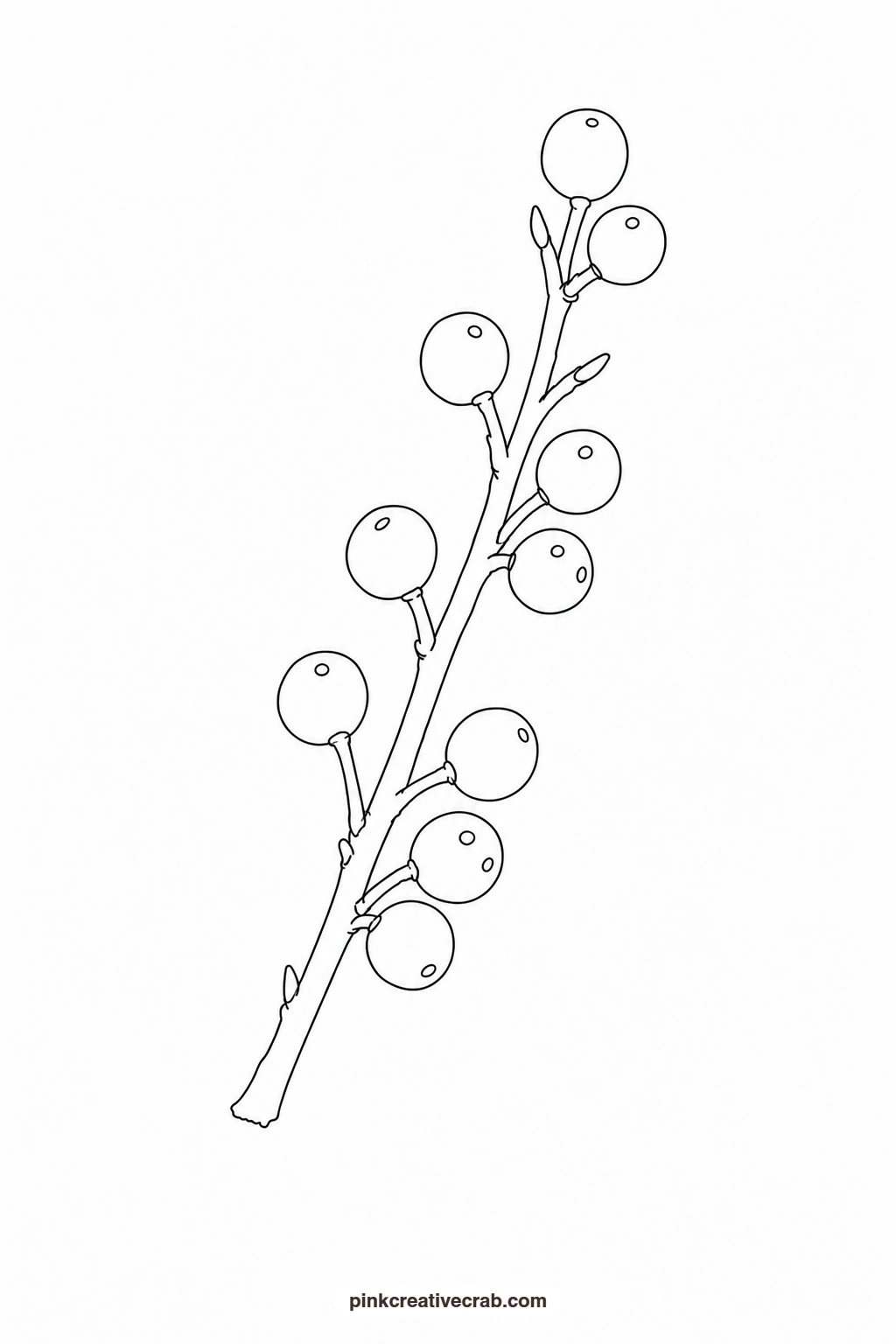 Twig With Berries Outline printable page. Nature watercolor