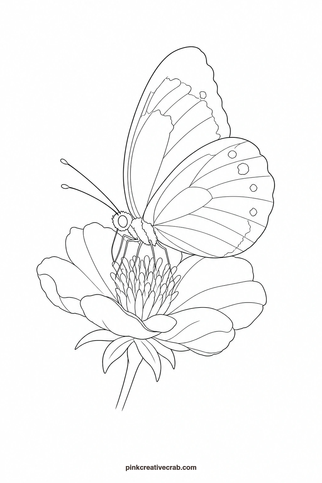 Butterfly on a Flower Outline printable page. Nature watercolor