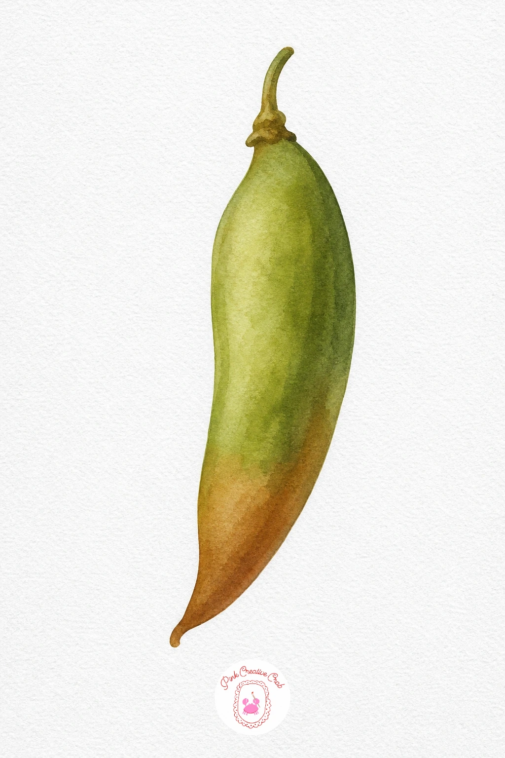 Seed Pod — Wash the pod in a muted olive green at the top, then while still wet pull a warm brown down from the tip so the two colors blend softly into one