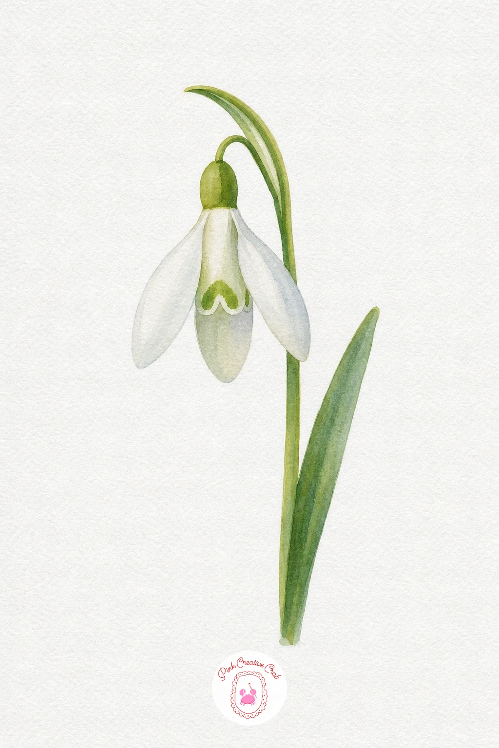 Snowdrop — Leave the petals almost entirely bare white paper, since a snowdrop's charm is in how little color it needs, and just touch a very pale green at the