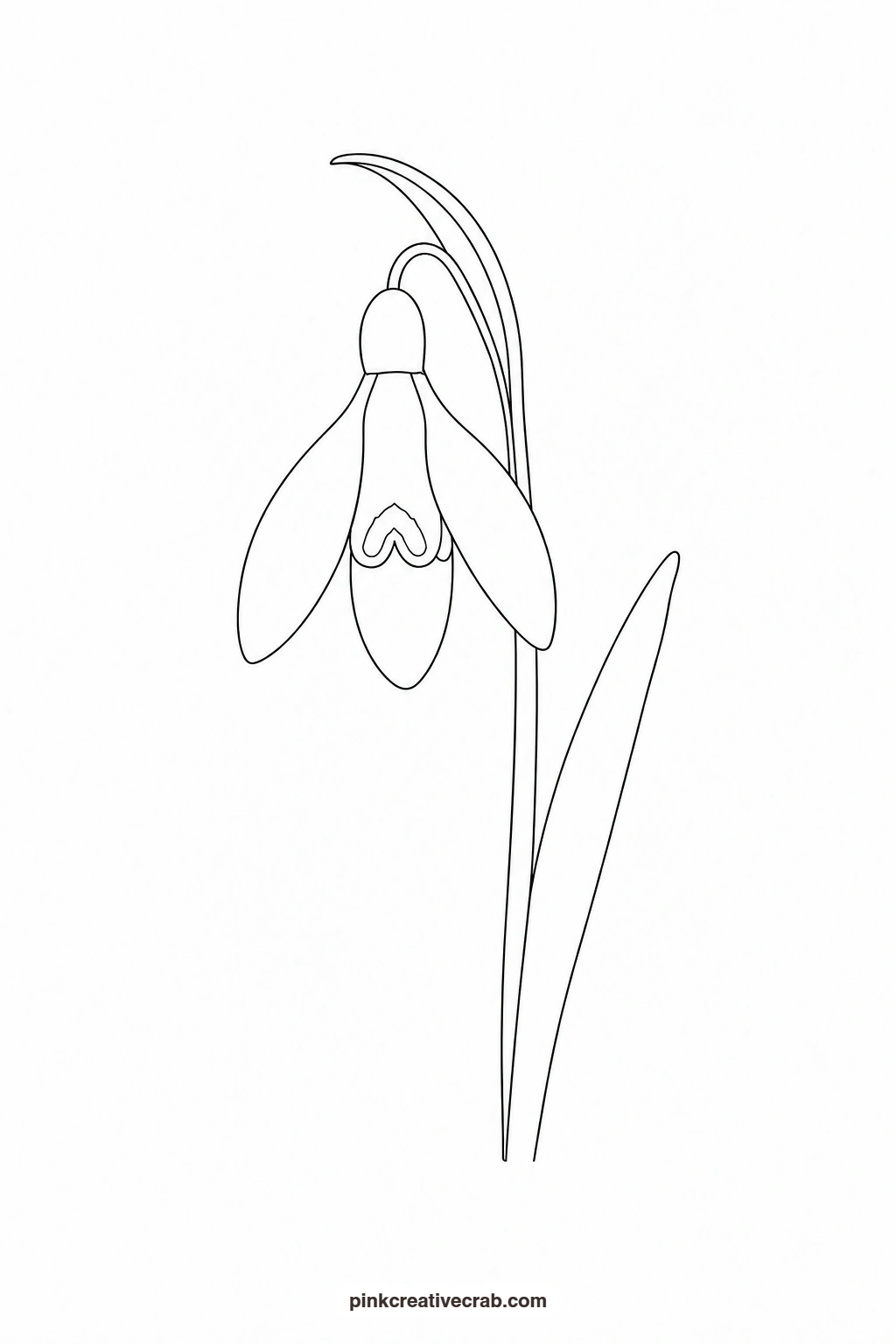 Snowdrop Outline printable page. Nature watercolor