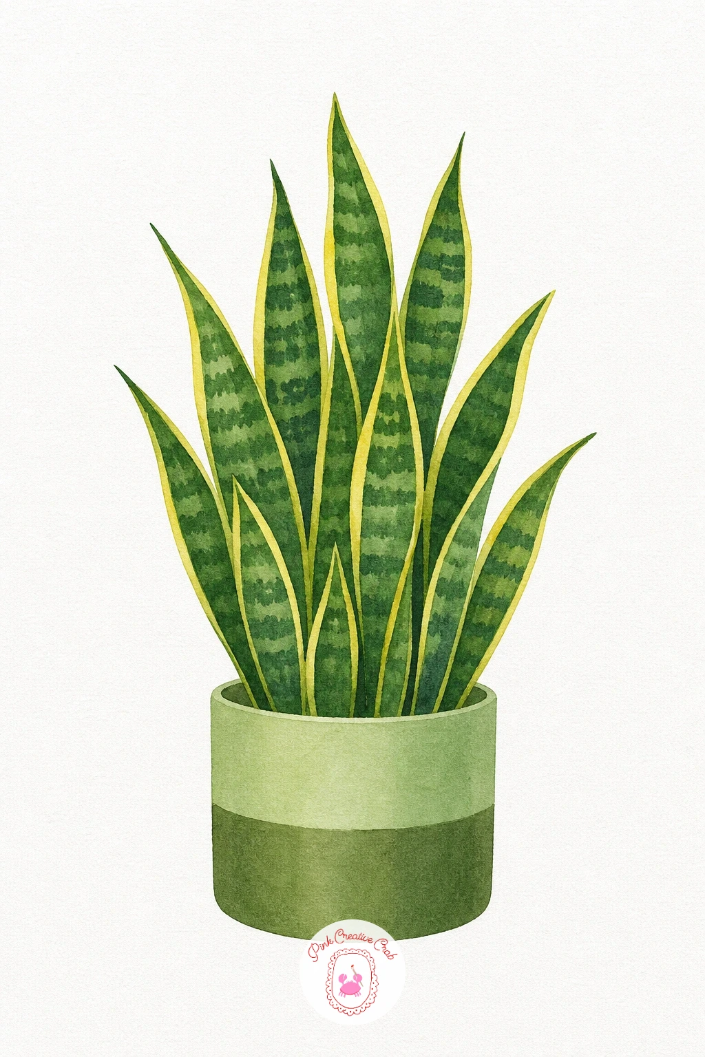 Snake Plant — Wash each tall leaf in mid green from base to tip, leaving a thin strip of white paper near the edge for the lighter band snake plants are known