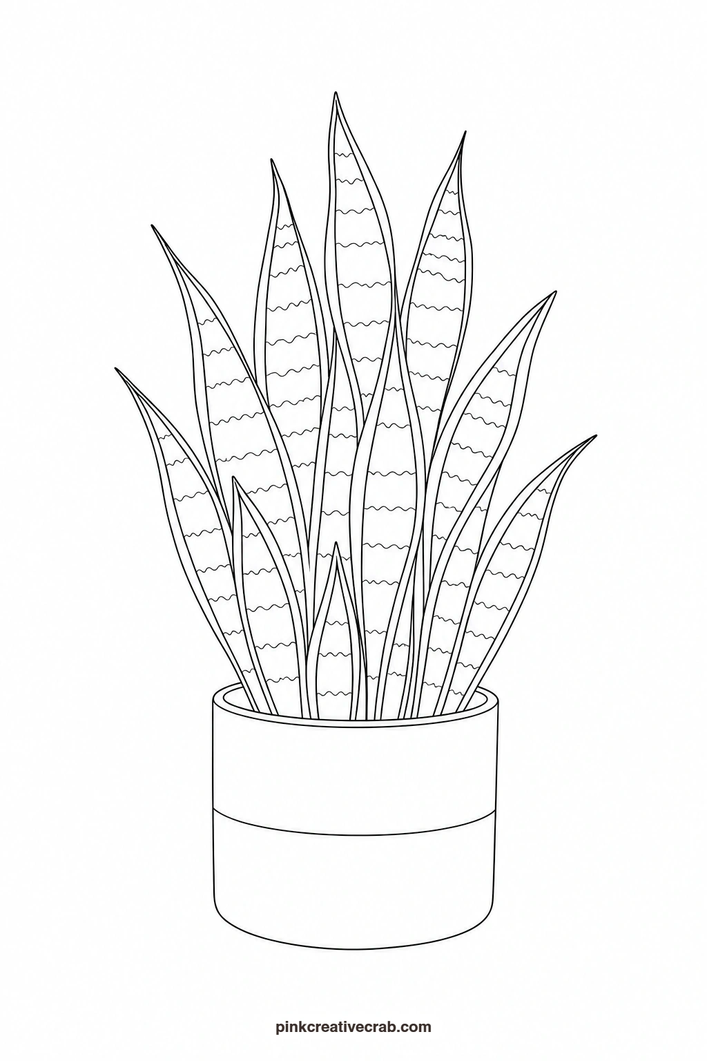 Snake Plant Outline printable page. Watercolor potted plants