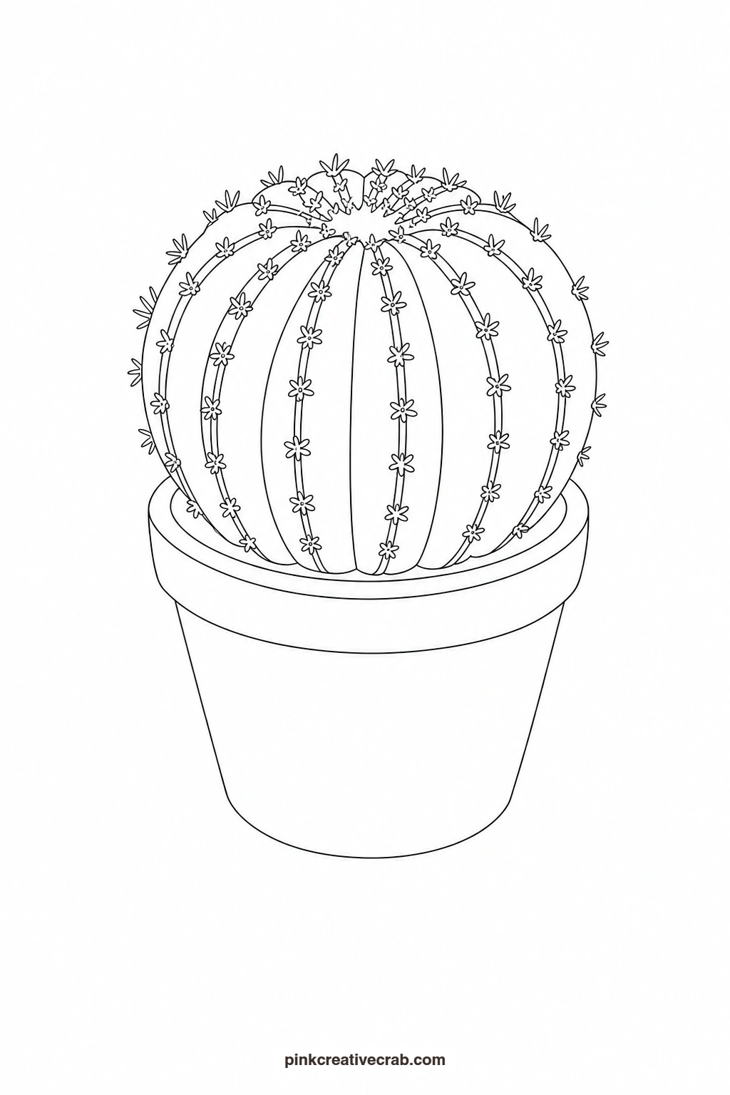 Barrel Cactus in a Pot Outline printable page. Watercolor potted plants