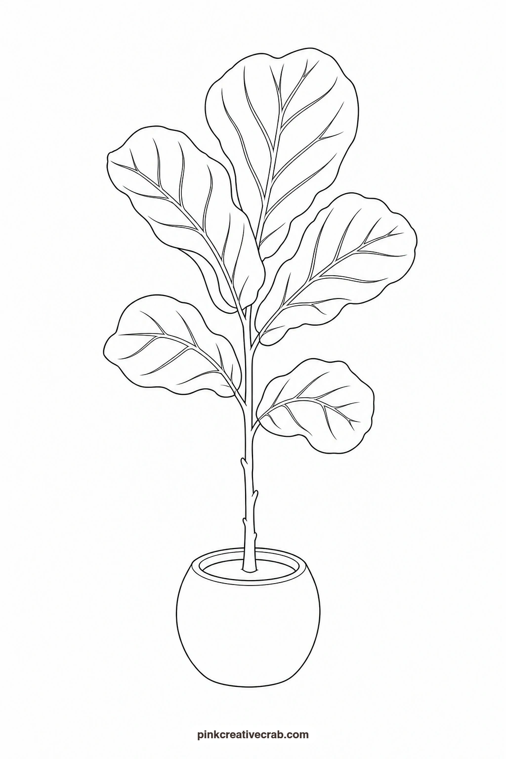 Fiddle Leaf Fig Outline printable page. Watercolor potted plants