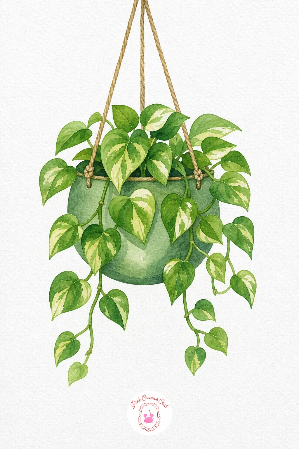 Pothos in a Hanging Pot — Paint each heart shaped leaf in a light green base, then while still damp dab a few small patches of cream or pale yellow onto the