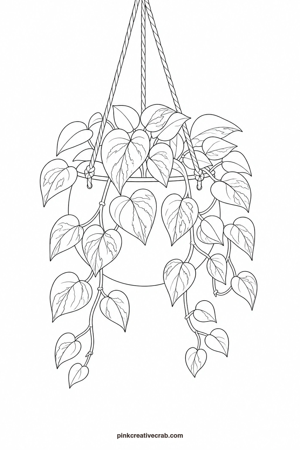 Pothos in a Hanging Pot Outline printable page. Watercolor potted plants