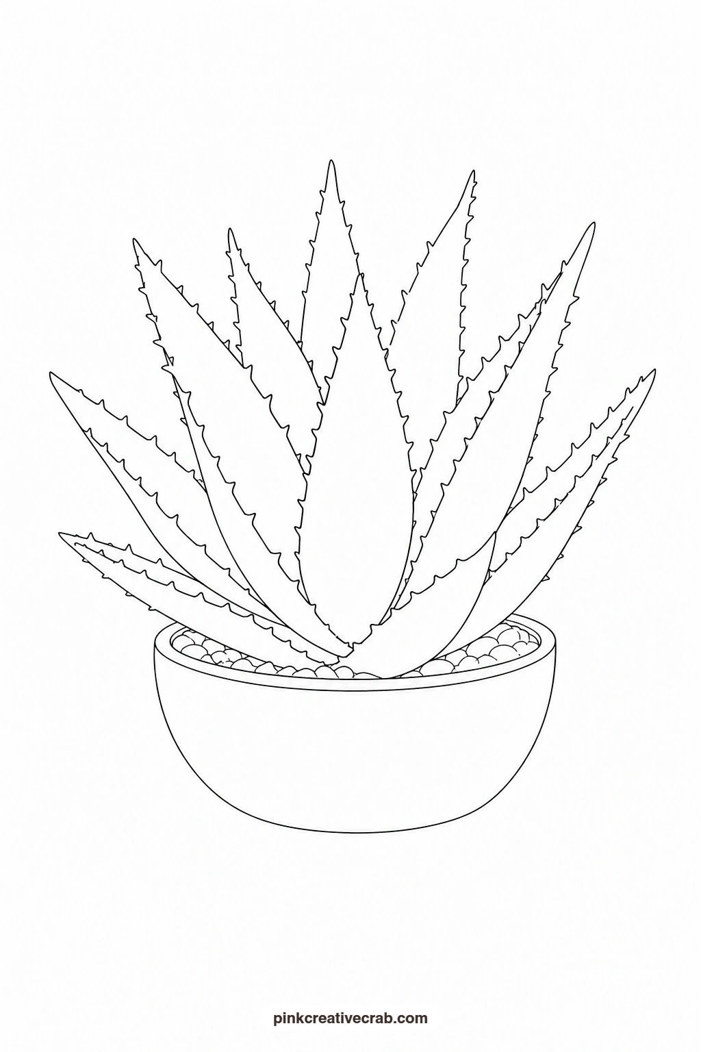 Aloe Outline printable page. Watercolor potted plants