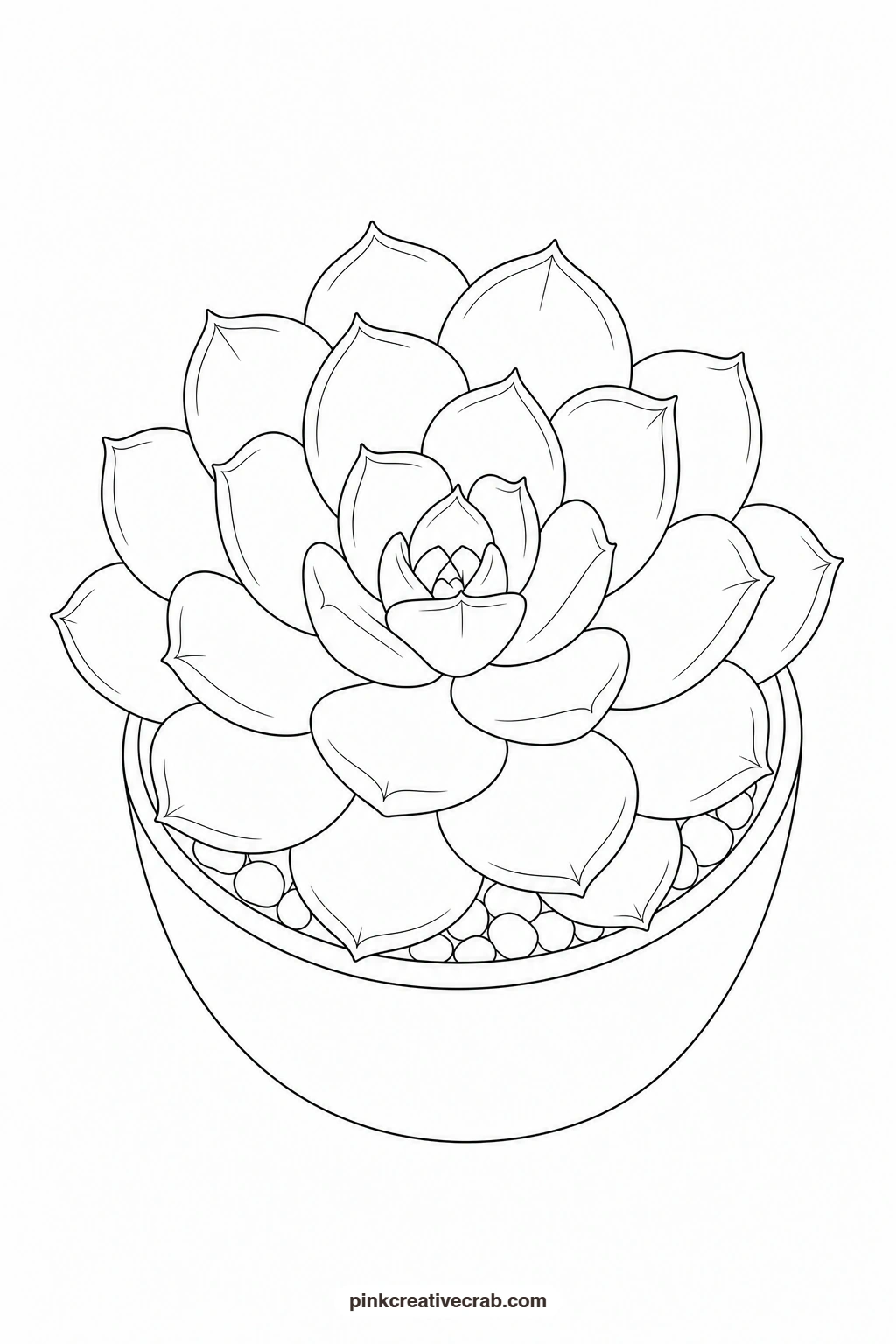 Succulent Rosette Outline printable page. Watercolor potted plants