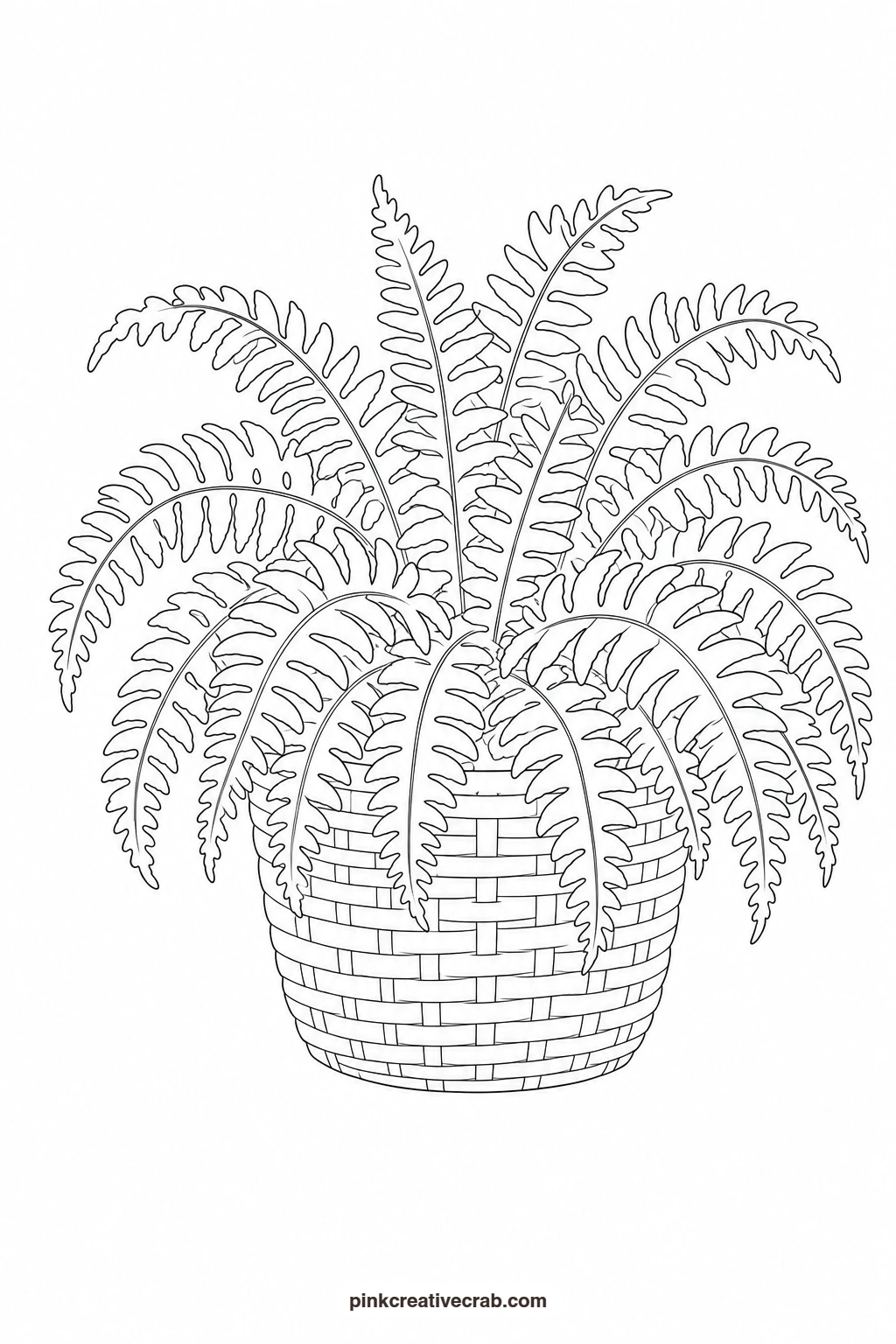 Fern in a Basket Outline printable page. Watercolor potted plants