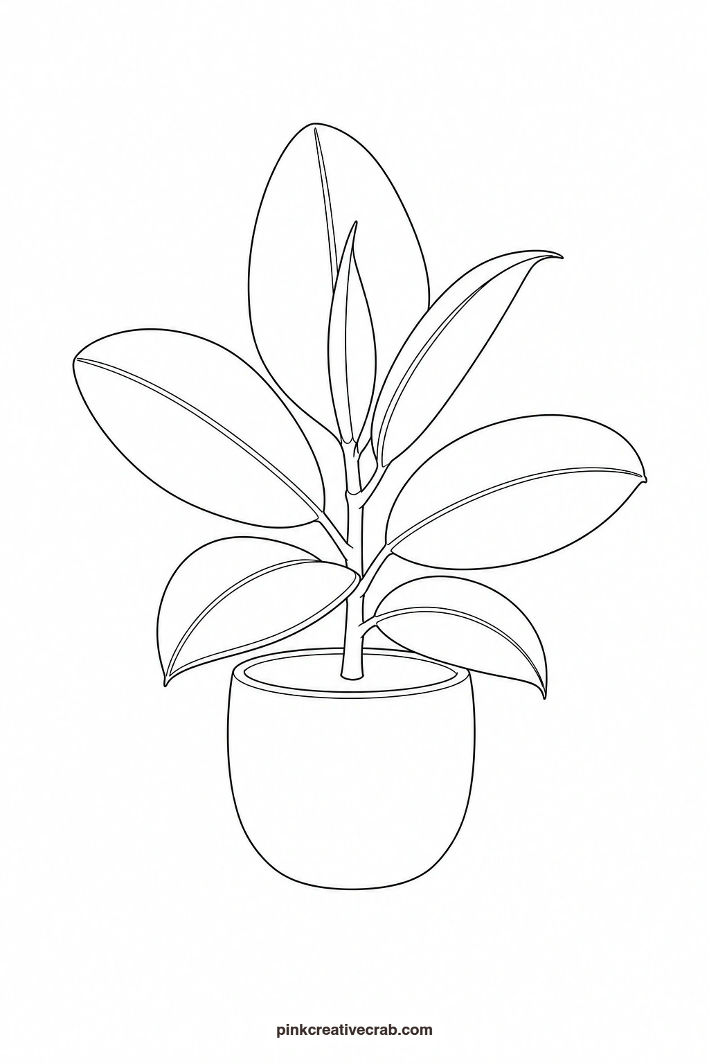 Rubber Plant Outline printable page. Watercolor potted plants