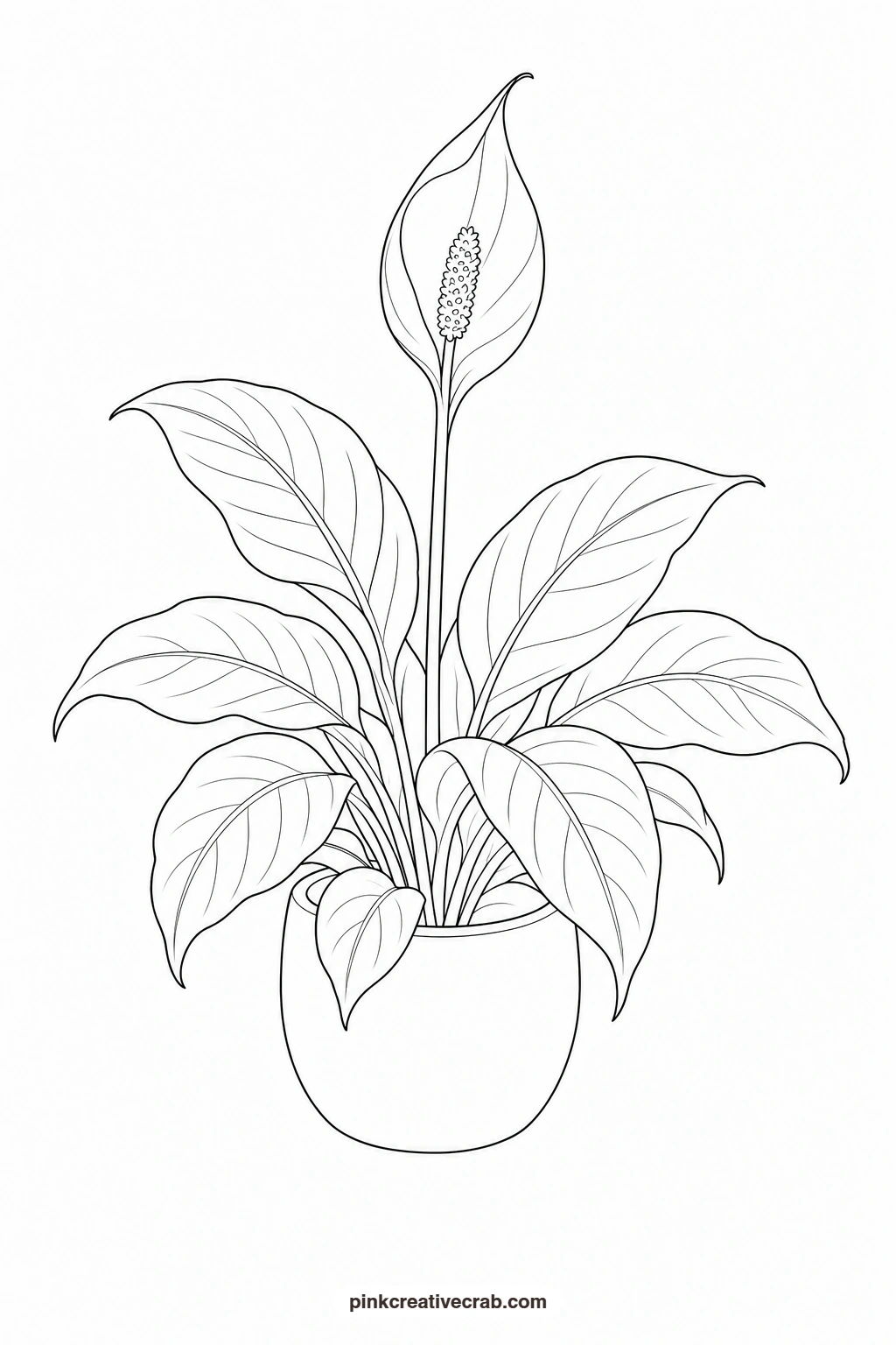 Peace Lily Outline printable page. Watercolor potted plants