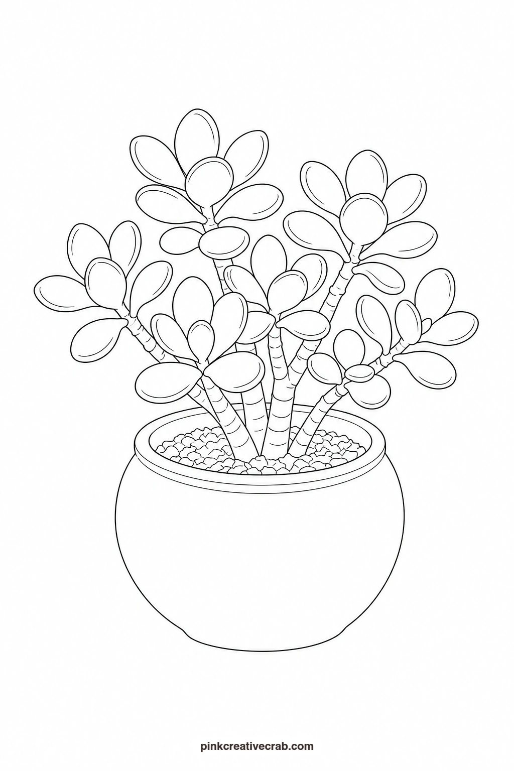 Jade Plant Outline printable page. Watercolor potted plants