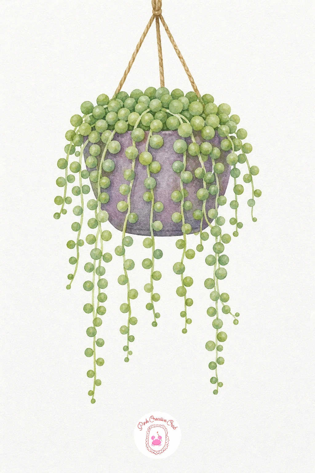 String of Pearls in a Hanging Pot — This one needs patience in the transfer step since each strand is made of many small round beads, so trace the outline