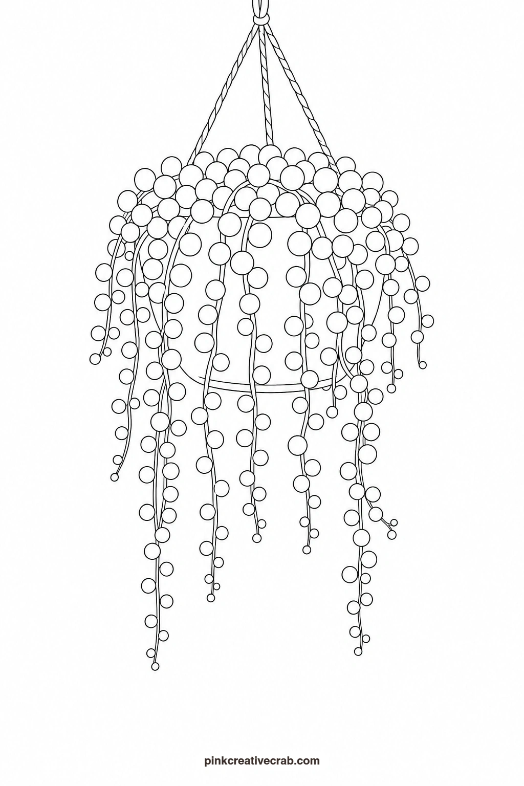 String of Pearls in a Hanging Pot Outline printable page. Watercolor potted plants