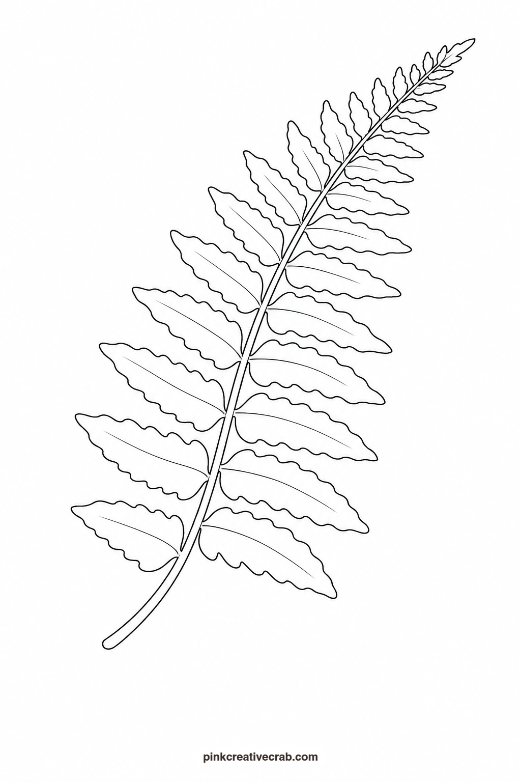 Fern Frond Outline printable page. Botanical watercolor