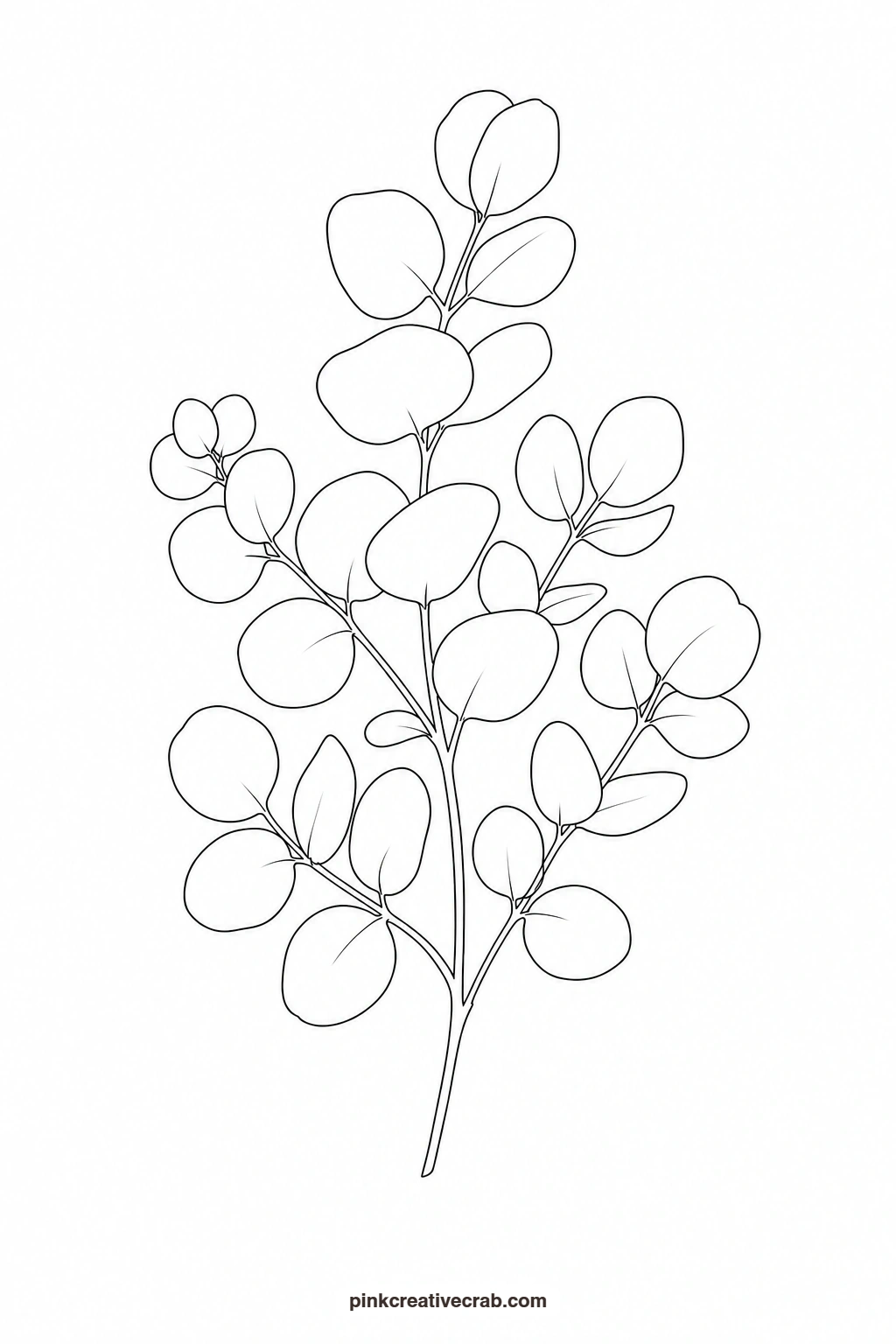 Eucalyptus Branch Outline printable page. Botanical watercolor
