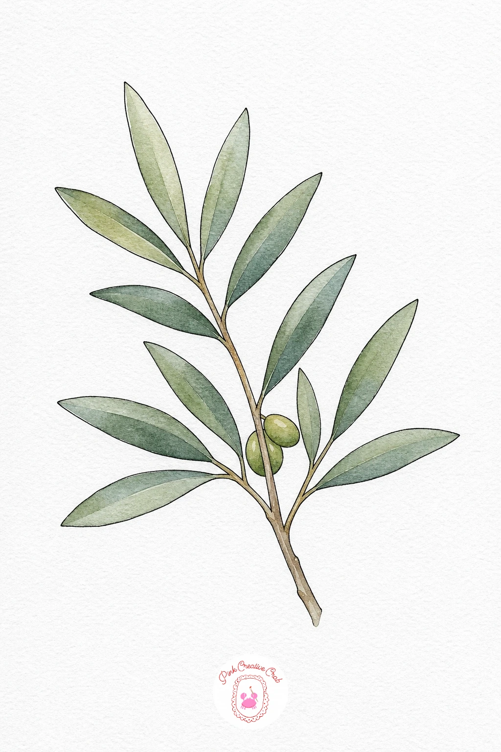 Olive Branch — Paint the leaves in a dry, grey-toned green using the side of the brush so some white paper shows through for texture, which suits the dusty