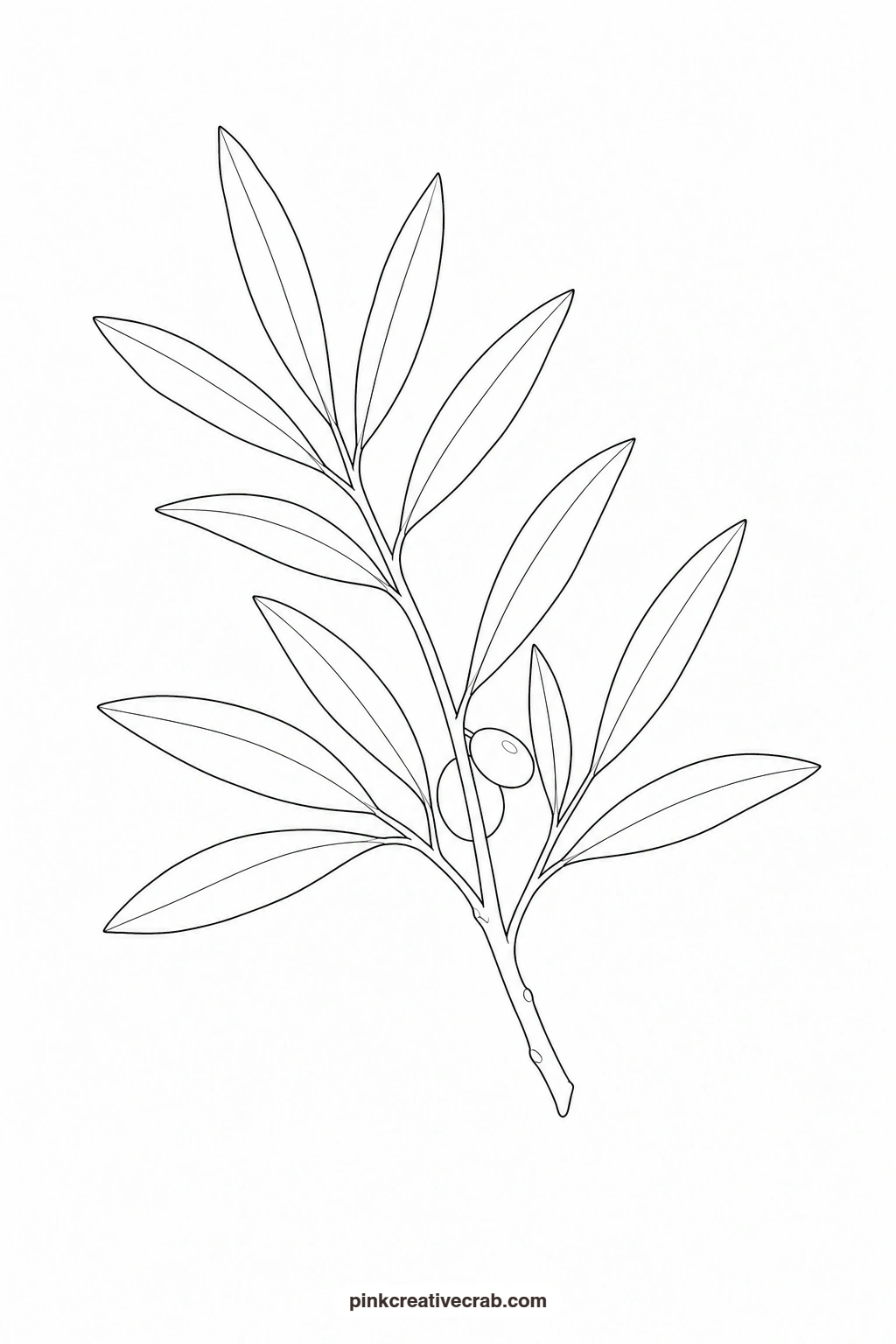 Olive Branch Outline printable page. Botanical watercolor