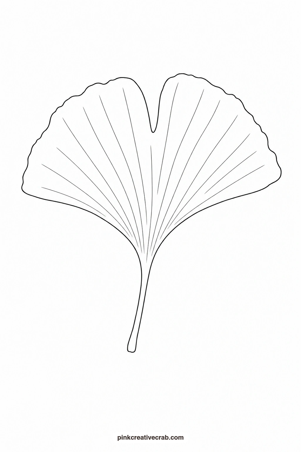 Ginkgo Leaf Outline printable page. Botanical watercolor