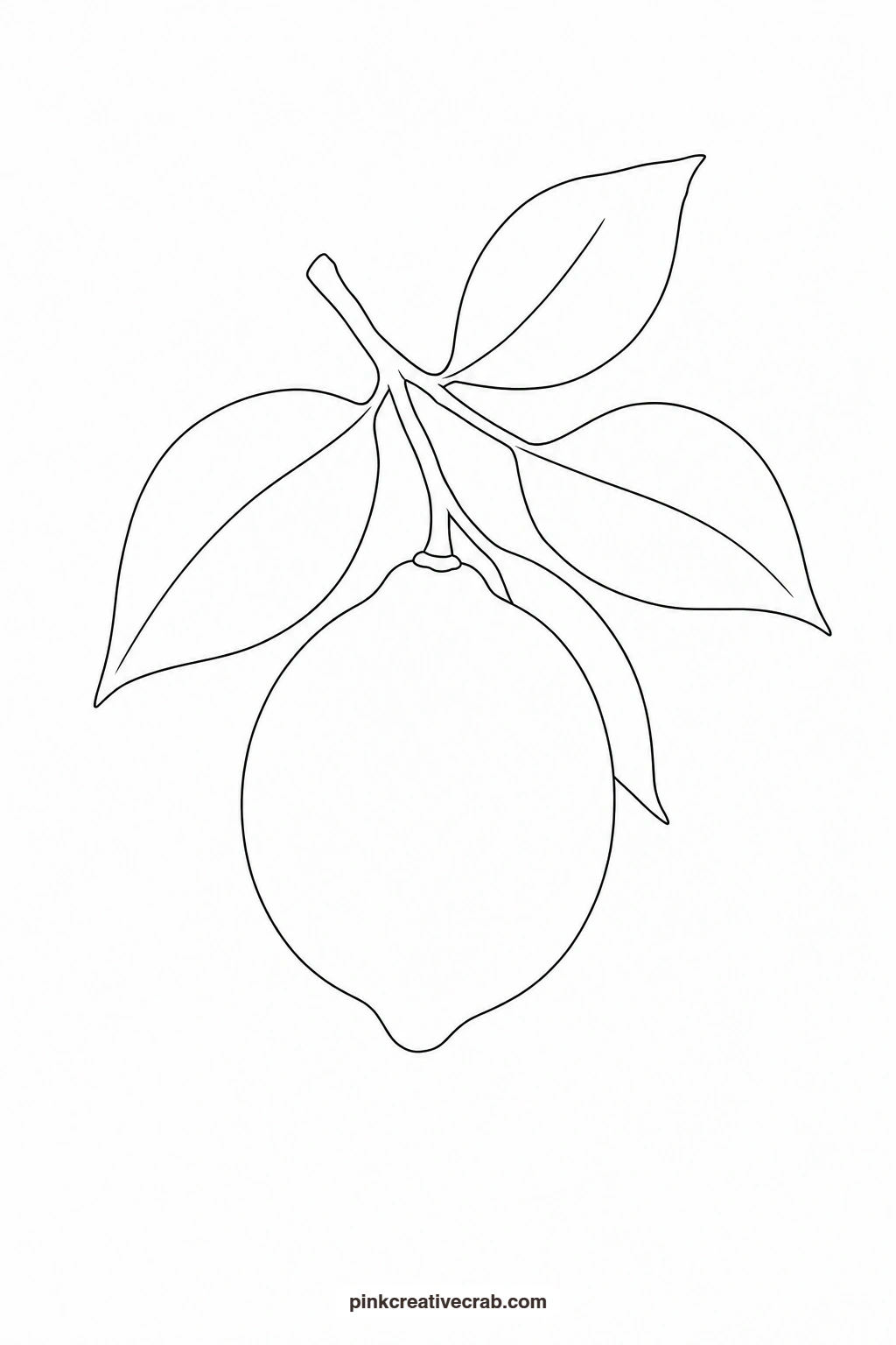 Lemon Branch With One Fruit Outline printable page. Botanical watercolor