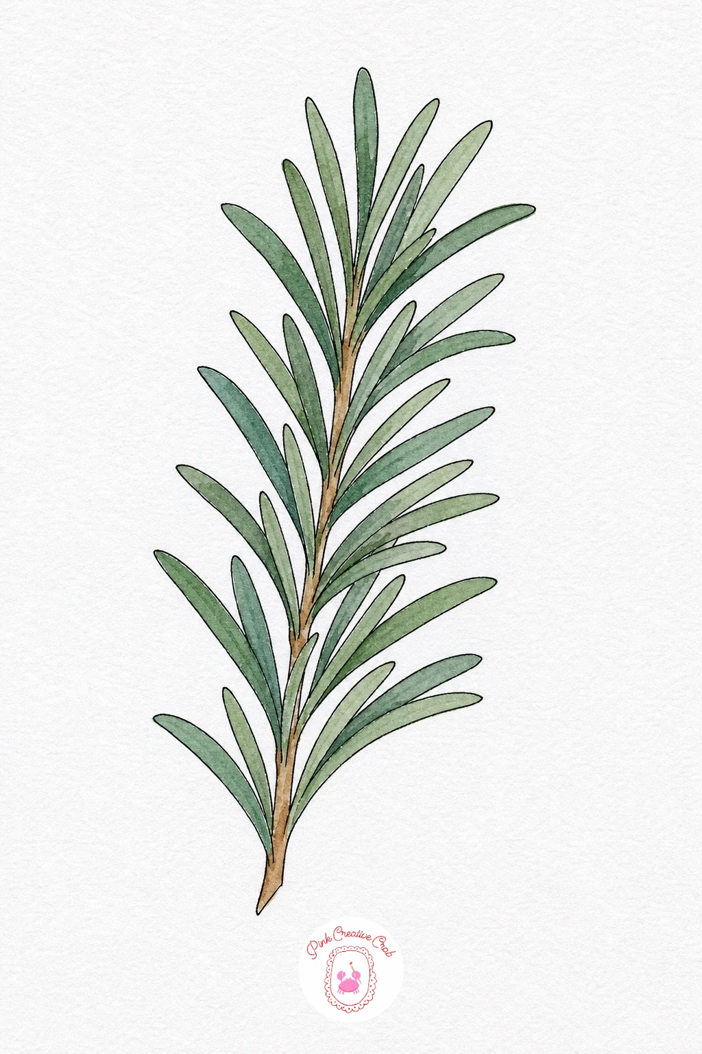 Sprig of Rosemary — Because the leaves are drawn large here rather than tiny, you can paint each needle with one short confident stroke instead of fiddly dabs.