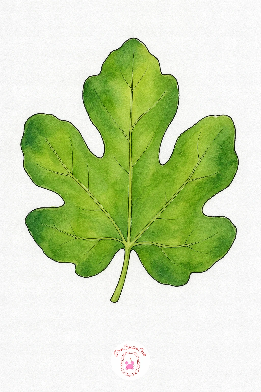 Fig Leaf — Wash the whole leaf in a warm medium green, then while it is still damp, deepen the colour along the outer edge of each lobe so the centre stays
