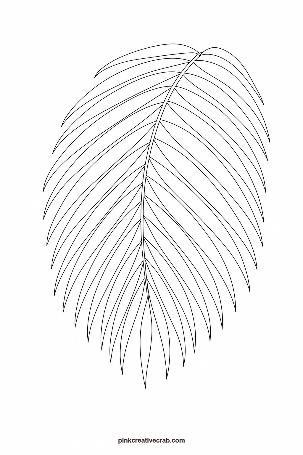 Palm Frond Outline printable page. Botanical watercolor