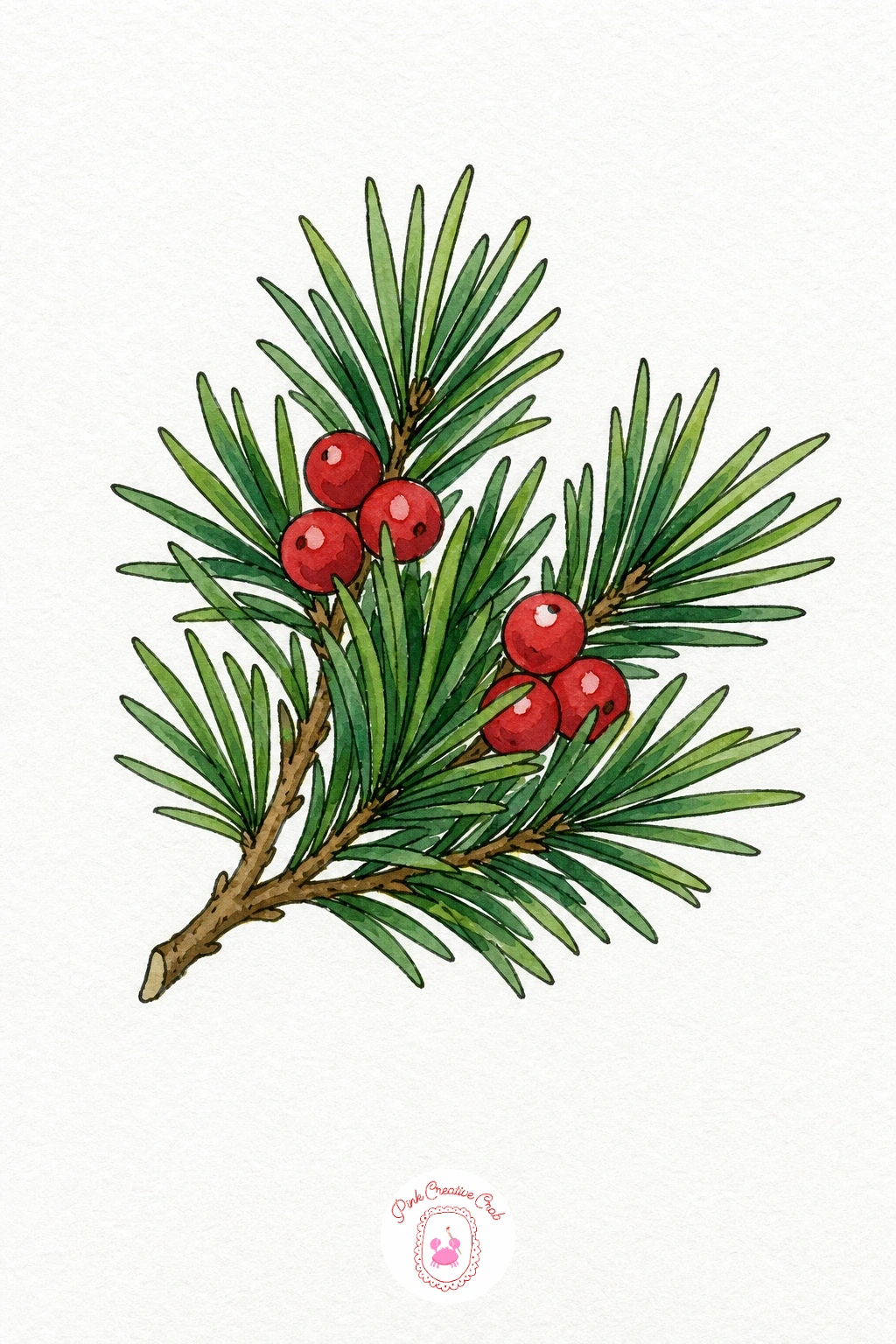 Pine Branch With Berries — Paint the needle clusters in a deep cool green, working in small fan-shaped strokes from a central point rather than one flat wash