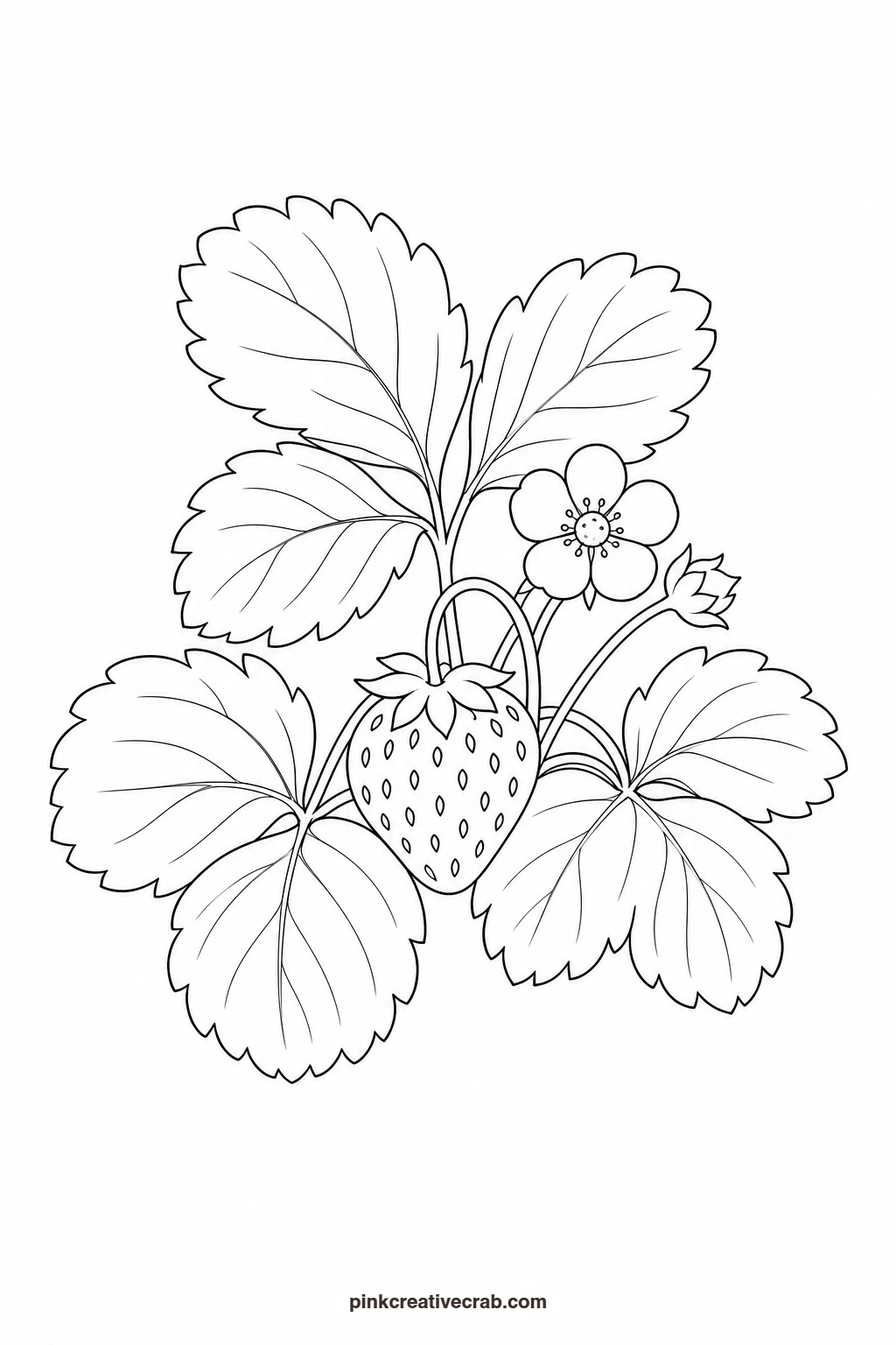 Strawberry Plant With One Berry Outline printable page. Botanical watercolor