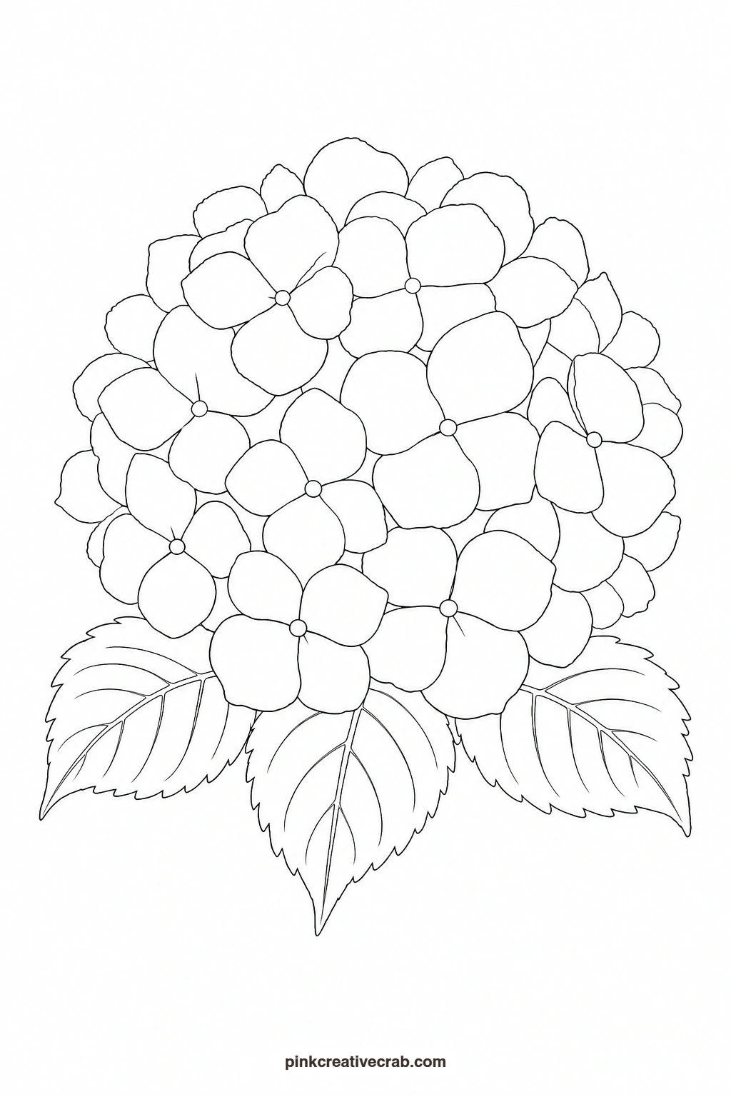 Blue Hydrangea Head Outline printable page. Watercolor garden paintings