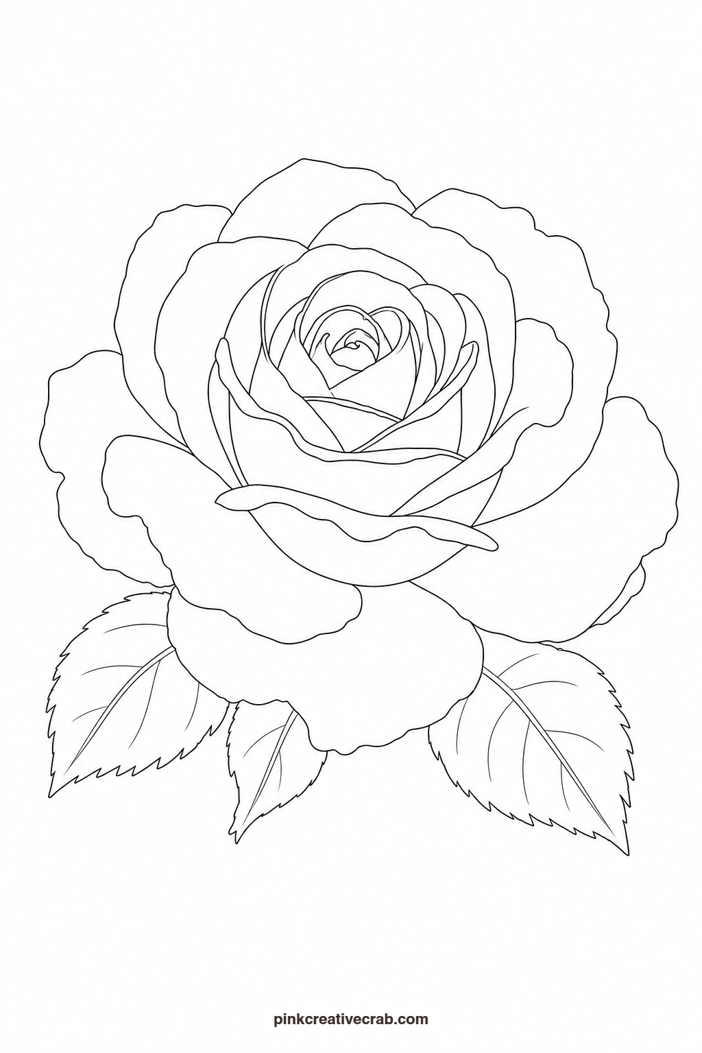 Garden Rose Outline printable page. Watercolor garden paintings