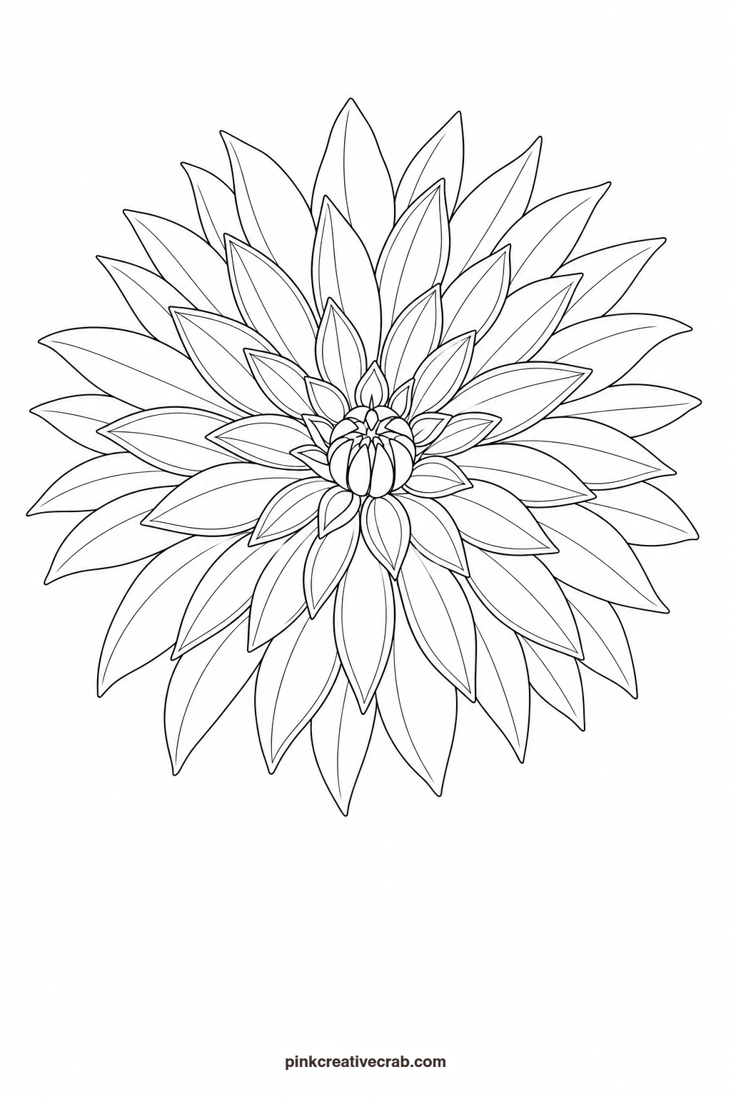 Dahlia Outline printable page. Watercolor garden paintings