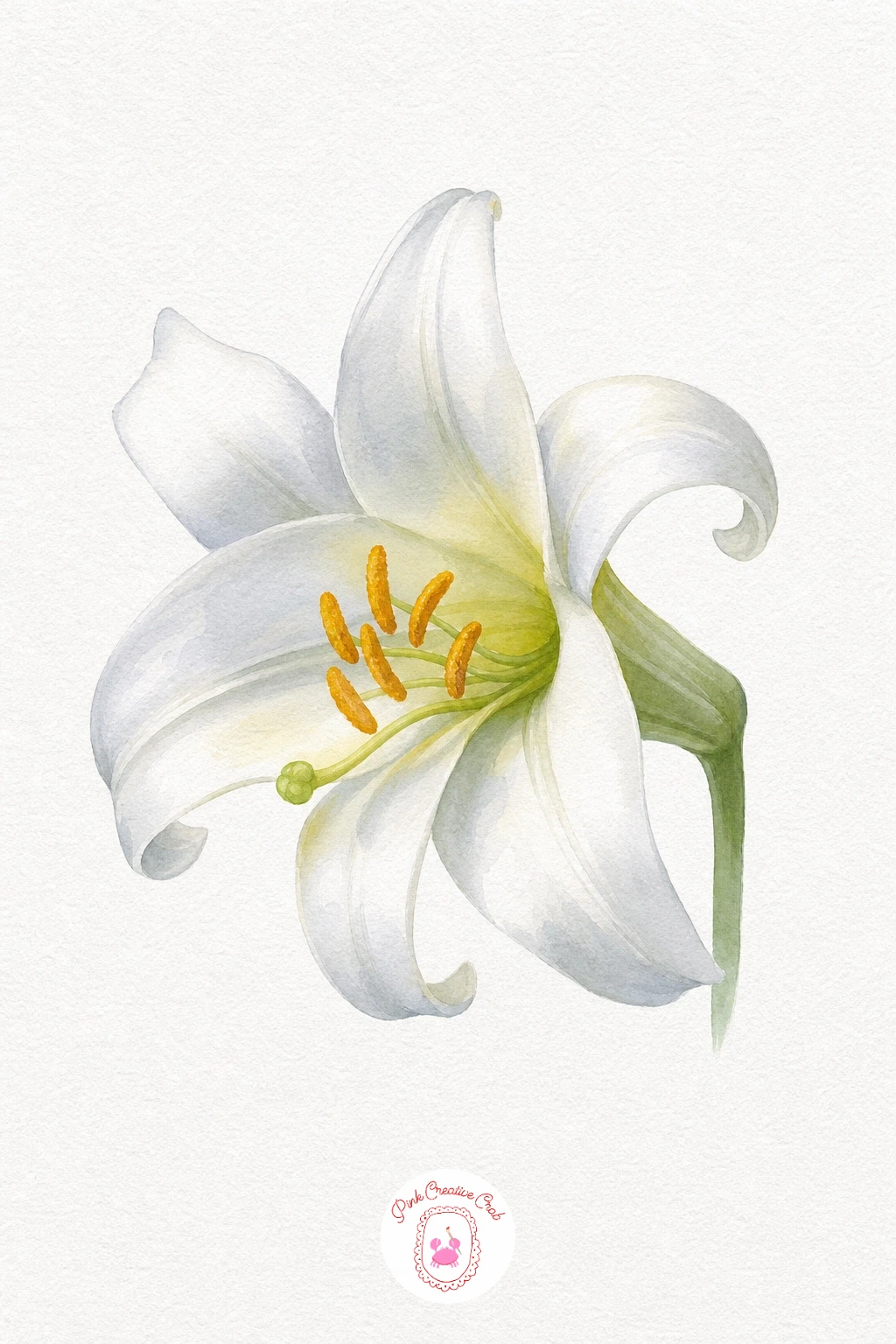 White Lily — Leave most of the petal surface as bare white paper and paint only the shadowed folds where petals curve or overlap, using a thin grey-green mix