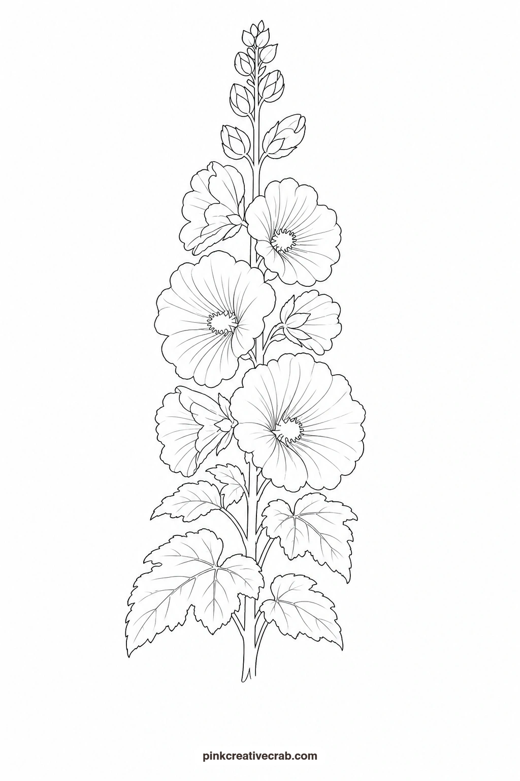 Hollyhock Stem Outline printable page. Watercolor garden paintings
