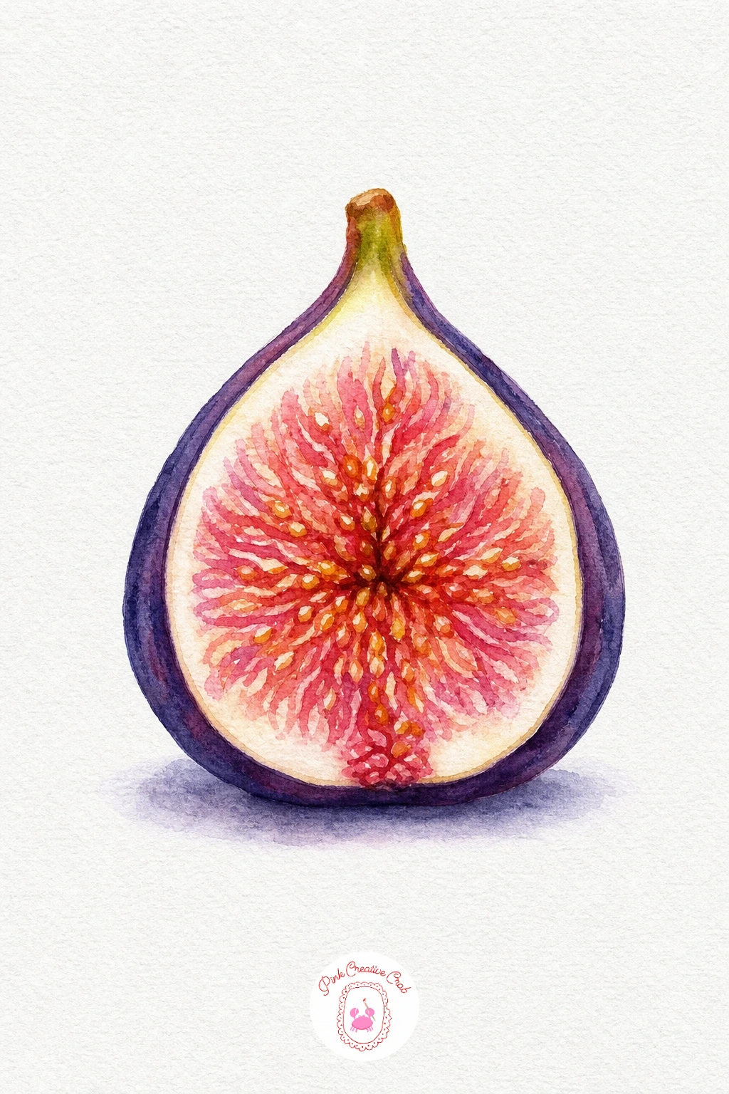 Fig — Paint the outer skin in a deep purple first, keeping it fairly dark so the inside flesh feels bright by comparison once it is added. Watercolor fruit