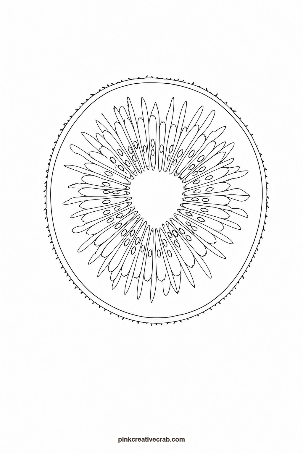Kiwi Half Outline printable page. Watercolor fruit
