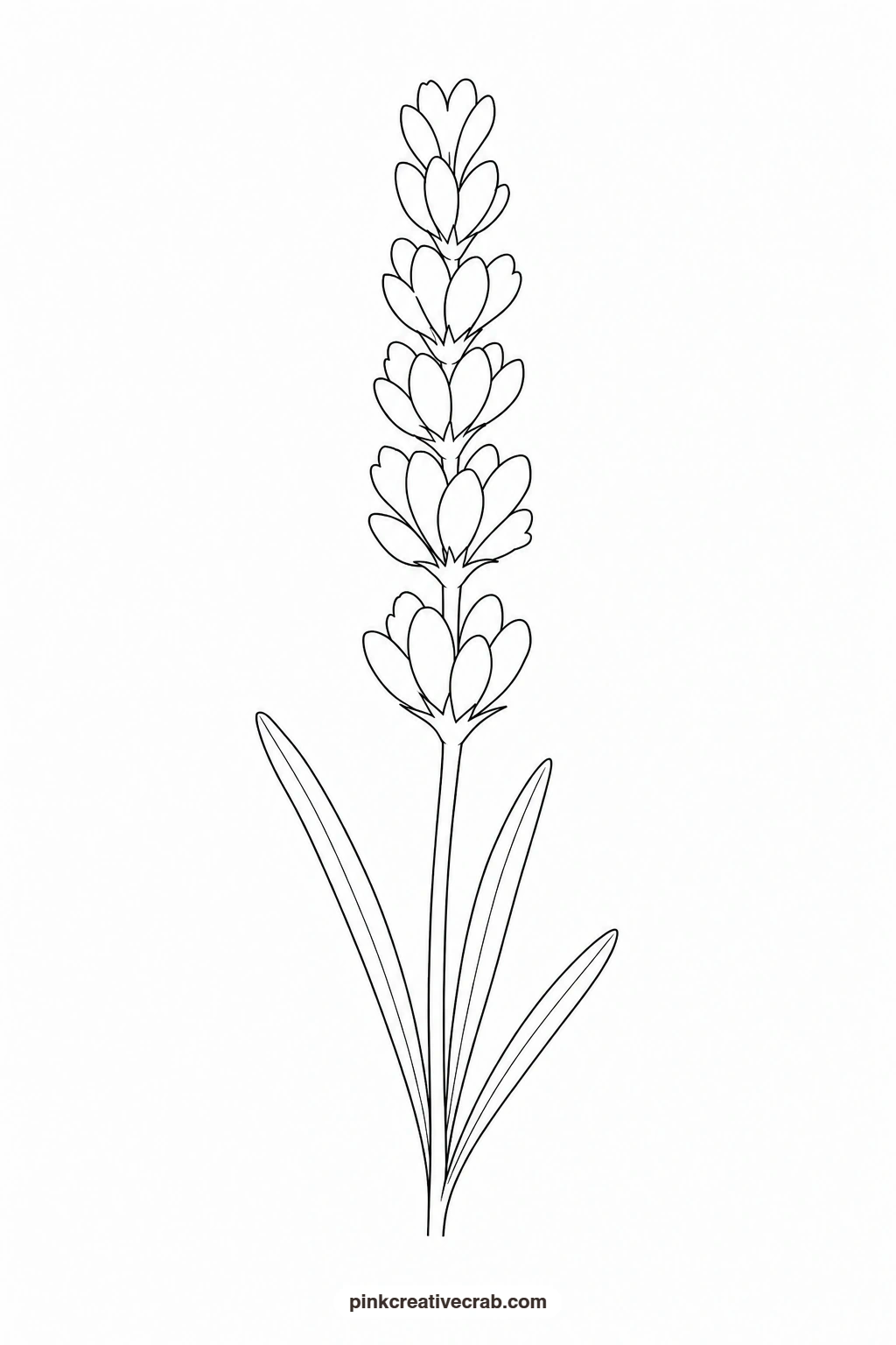 Lavender Stem Outline printable page. Purple watercolor flowers