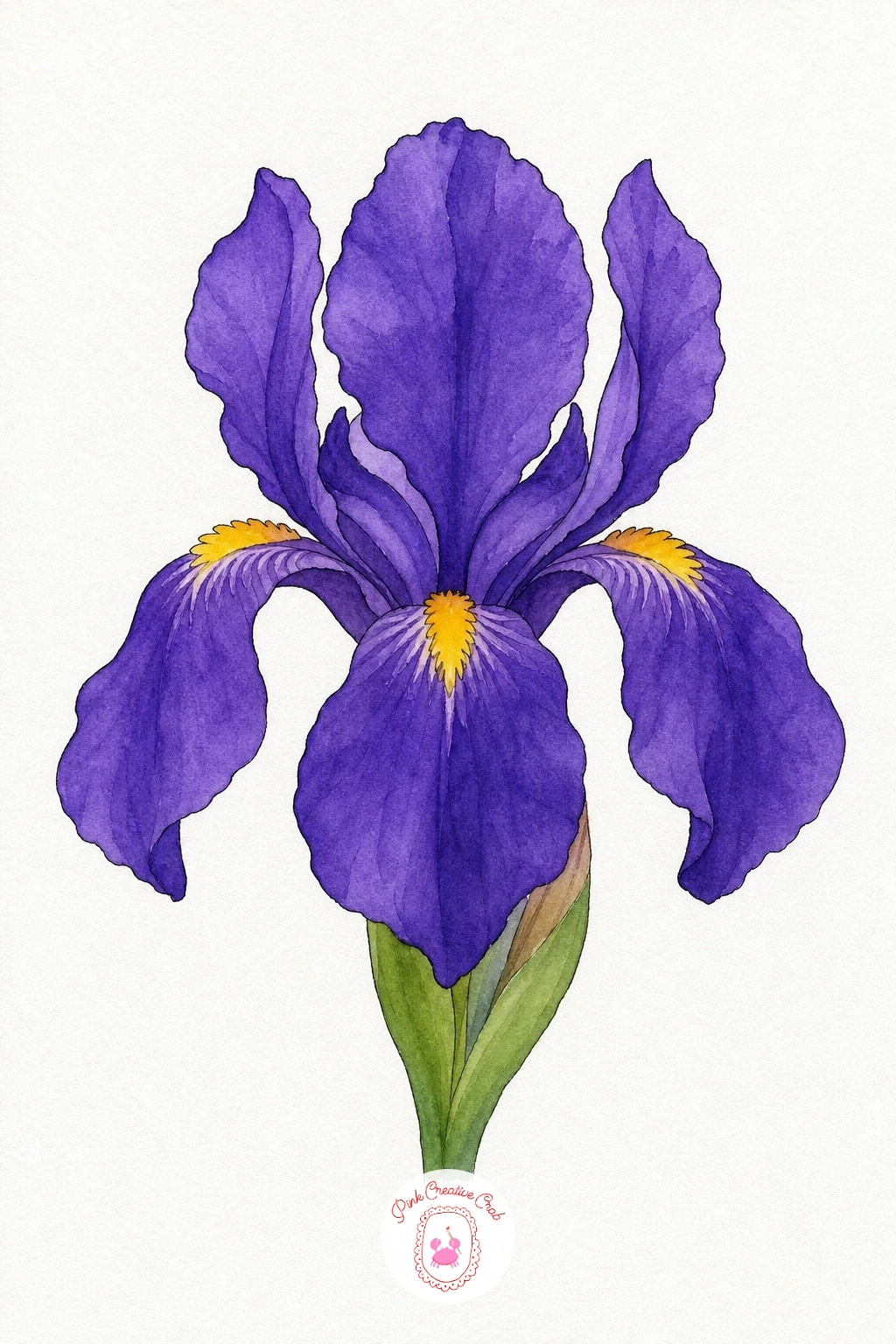 Bearded Iris in Violet — Wet the upper petals first and drop in violet so it spreads softly toward the edges, keeping the center paler where the light would