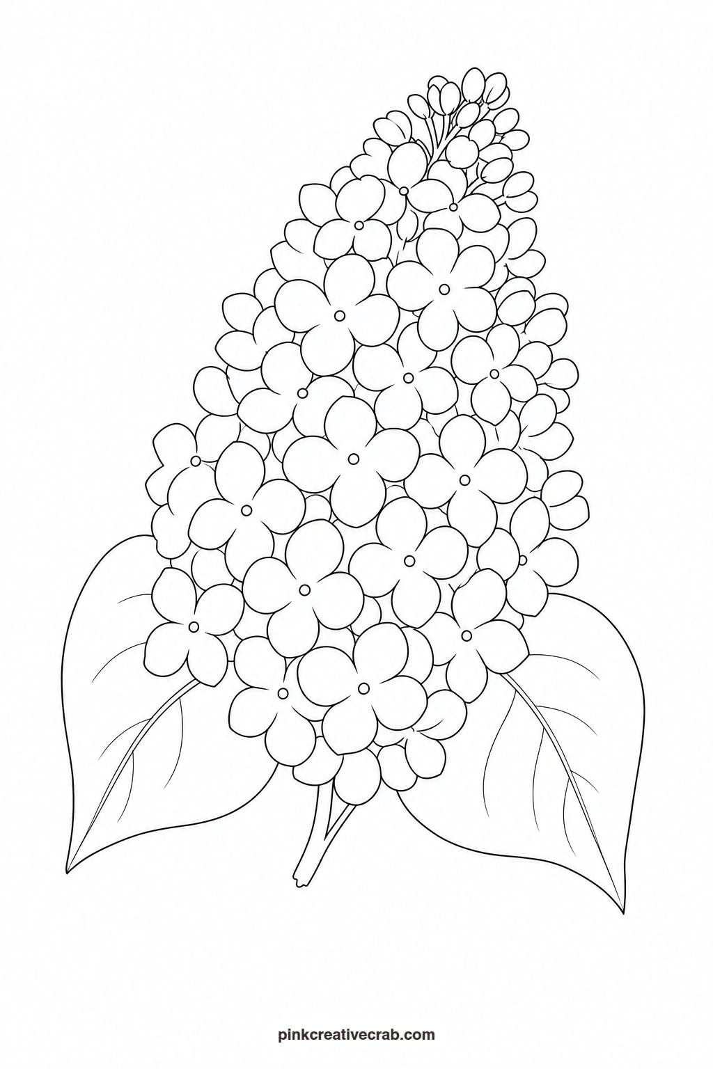Lilac Cluster Drawn Large Outline printable page. Purple watercolor flowers
