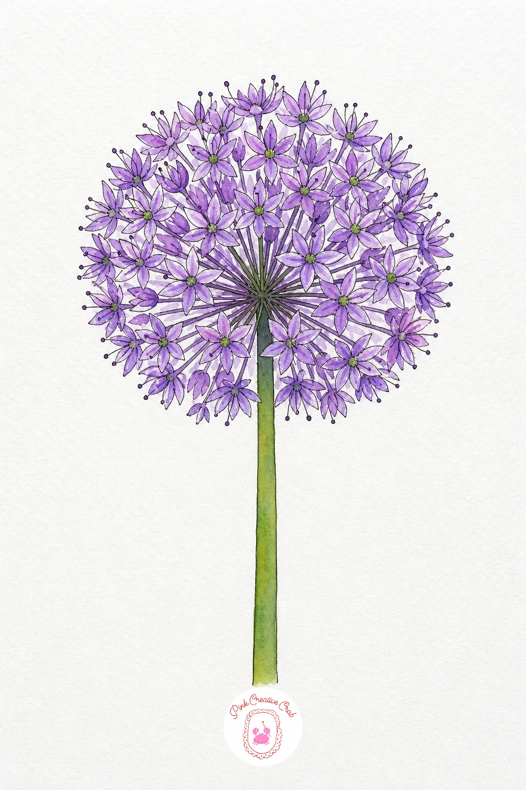 Allium Ball — Wet the whole circular head and float in a pale violet wash first, letting it settle unevenly across the sphere rather than painting it flat.