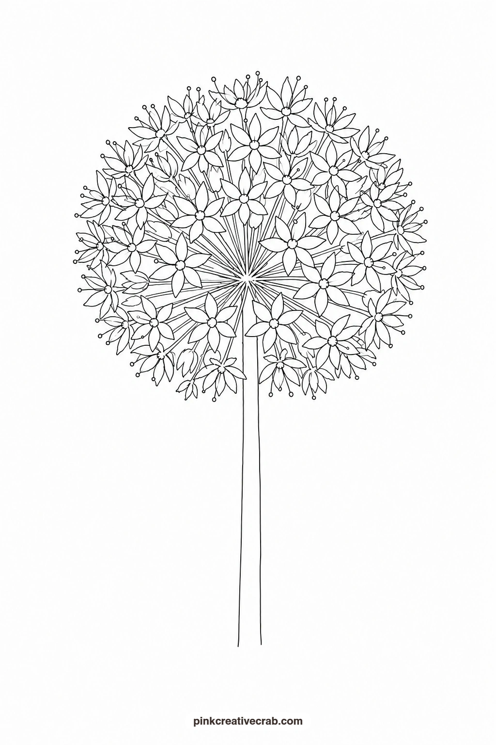 Allium Ball Outline printable page. Purple watercolor flowers